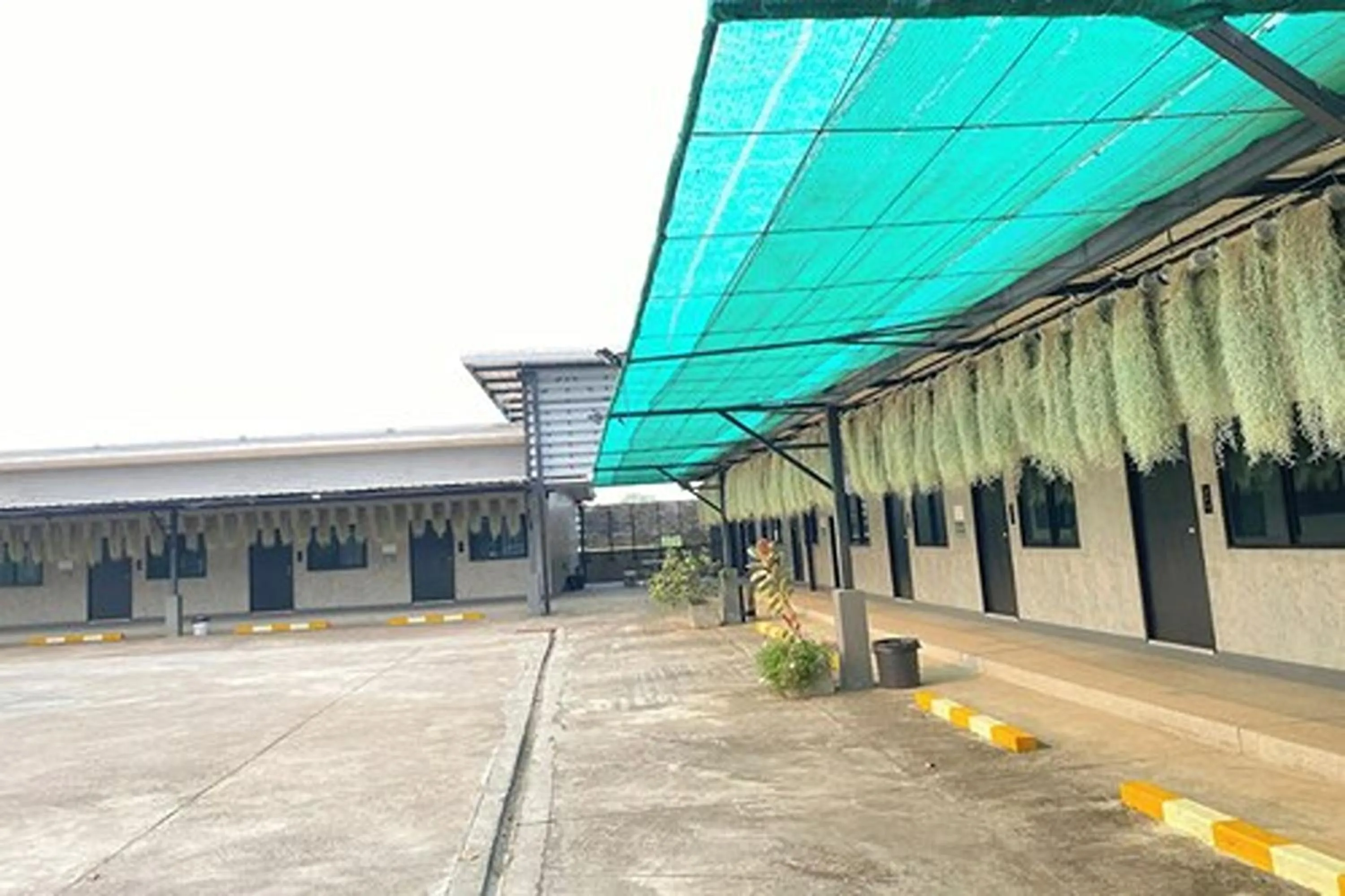 Property building in The Loft @Chiangrai