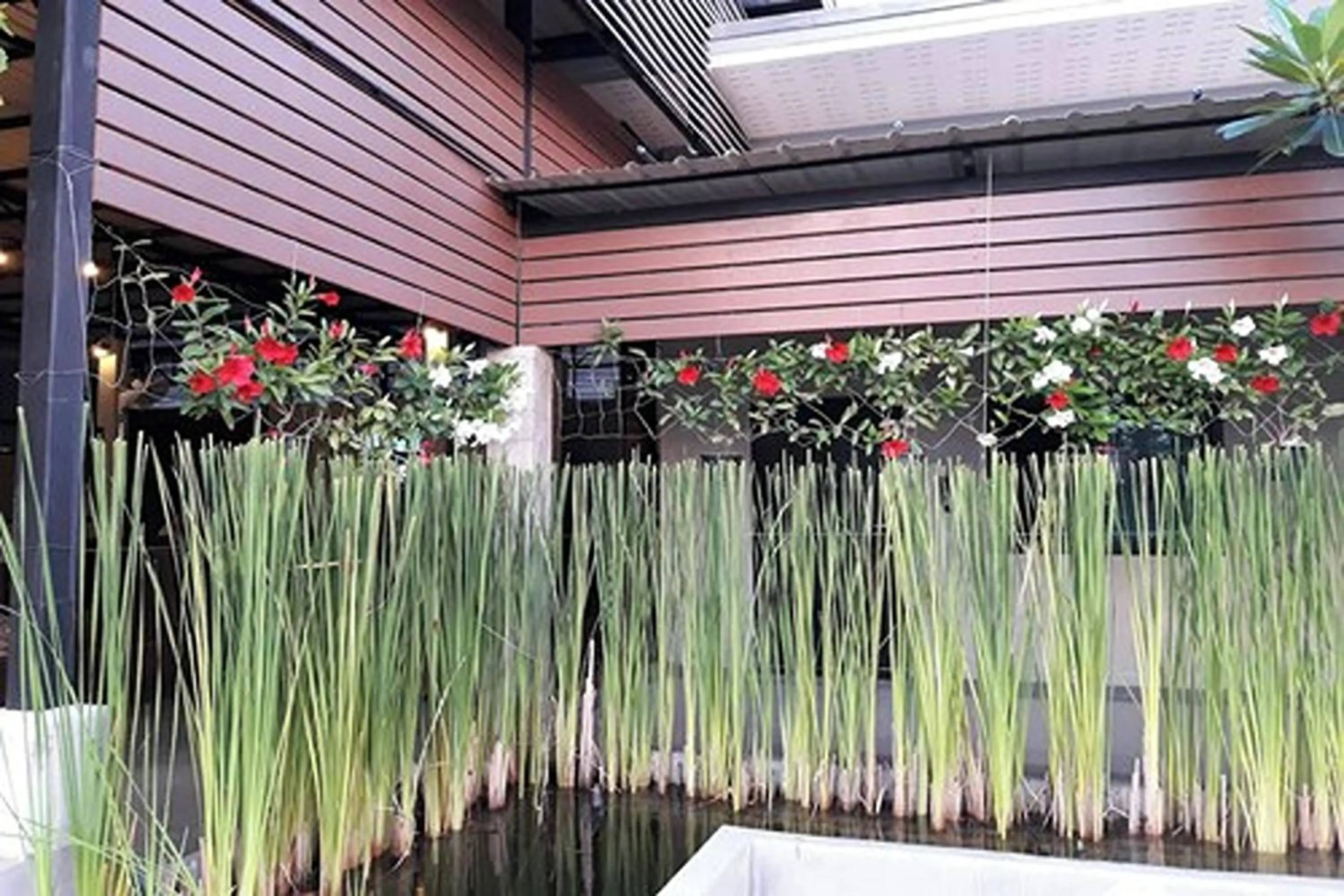 Other in The Loft @Chiangrai