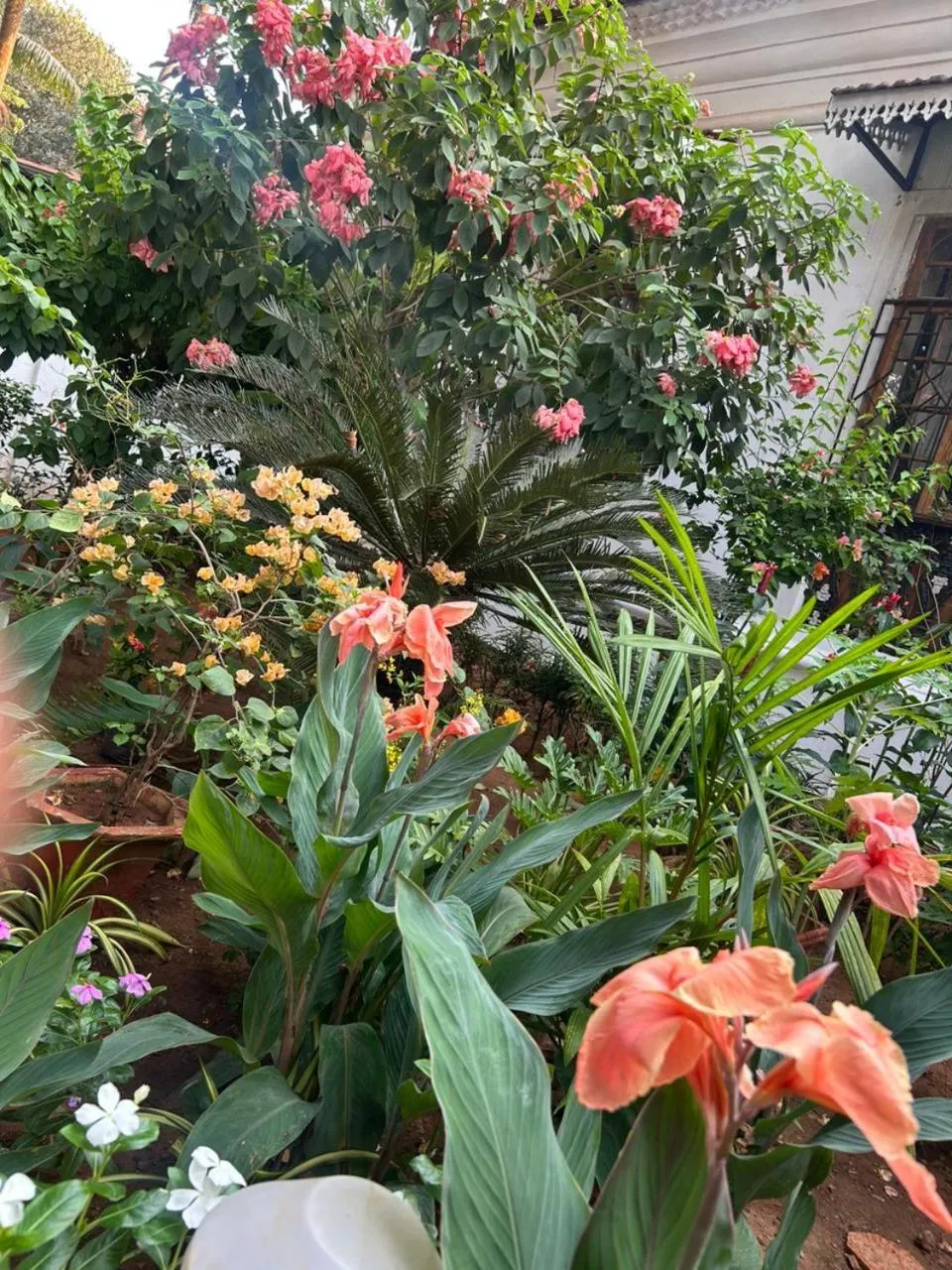 Day in Fatima Guest House