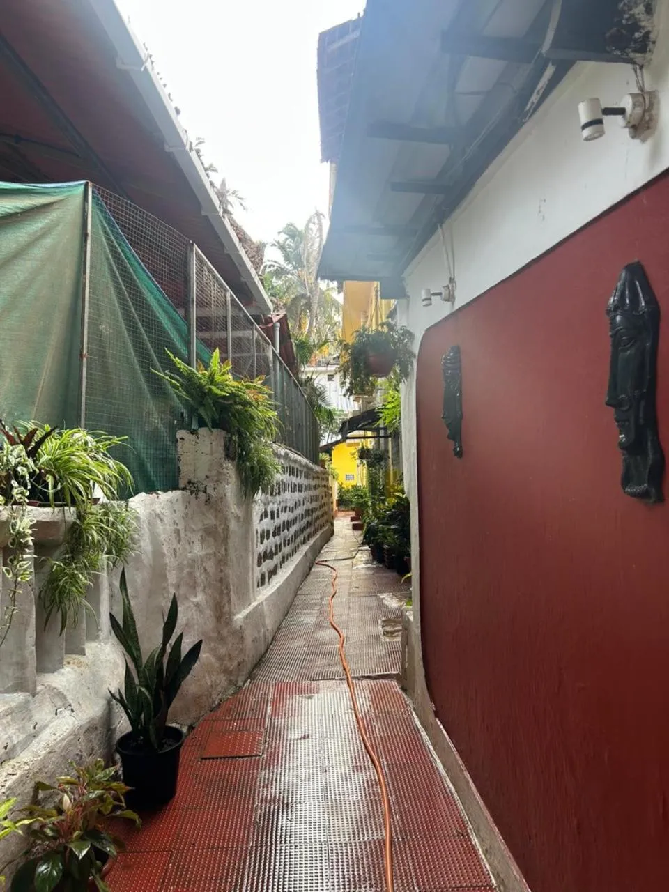 Garden view in Fatima Guest House