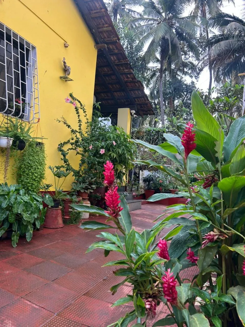 Garden view in Fatima Guest House