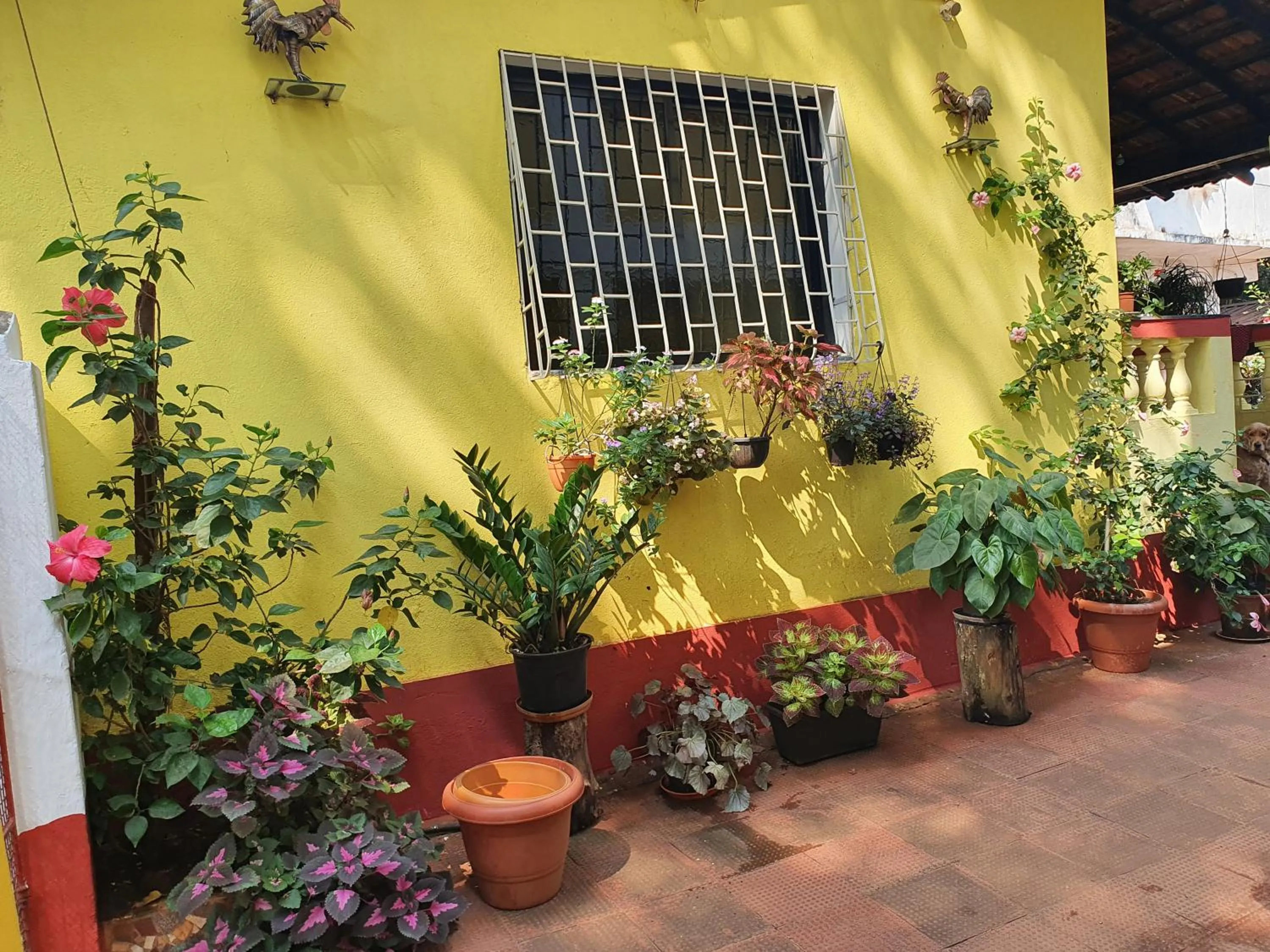 Property building in Fatima Guest House