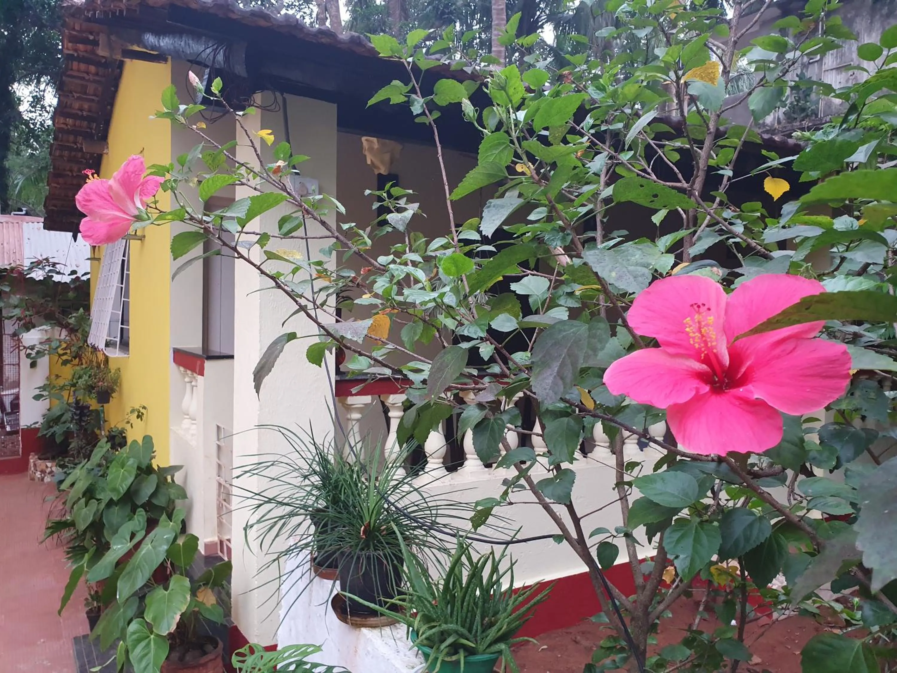 Property building in Fatima Guest House