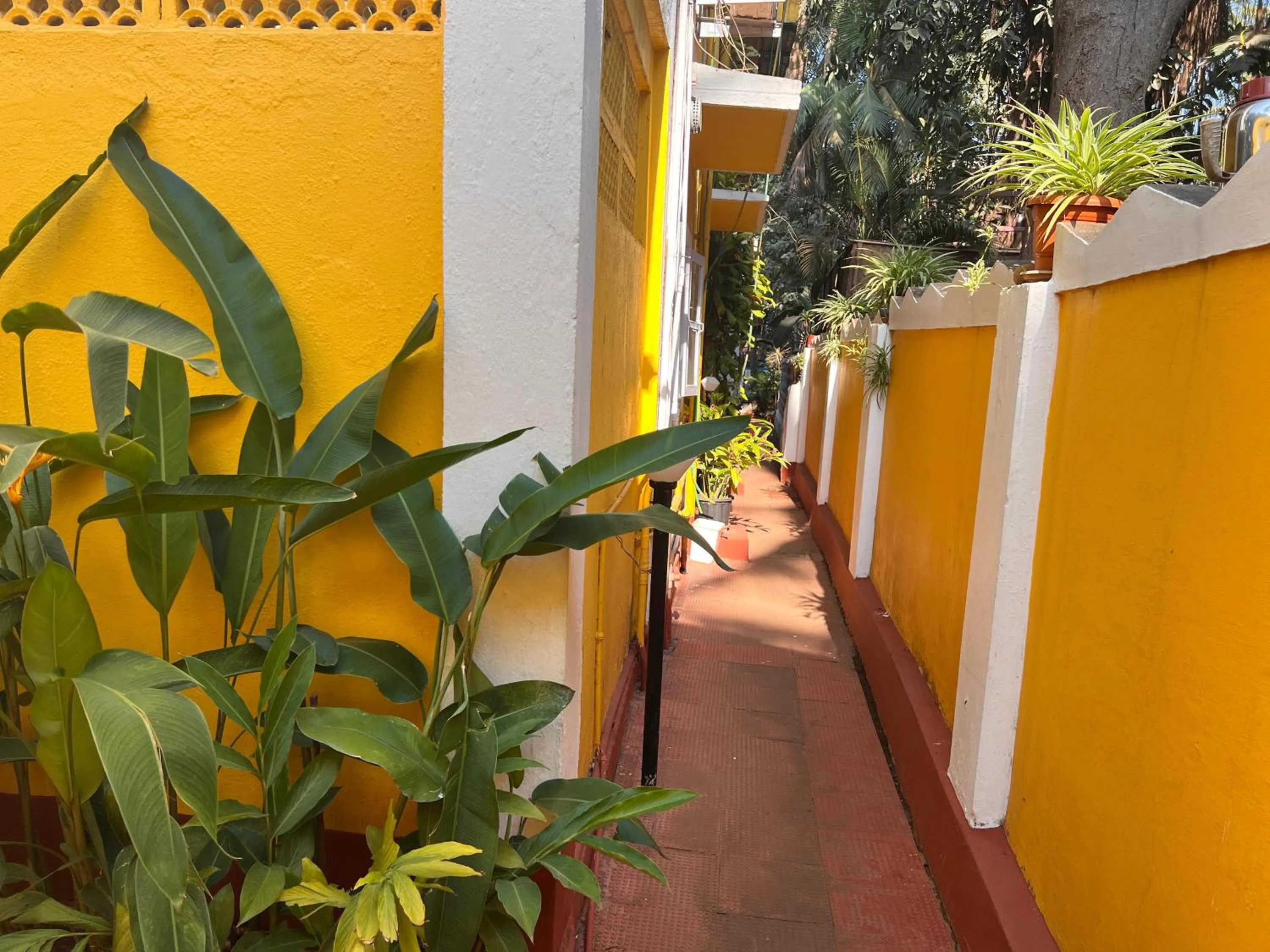 Day in Fatima Guest House