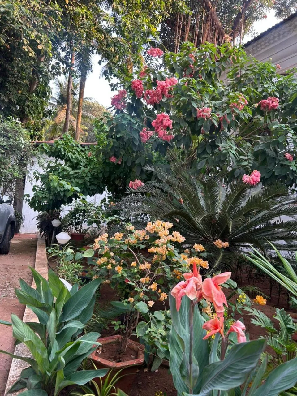 Property building in Fatima Guest House