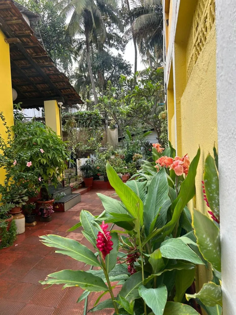 Garden in Fatima Guest House