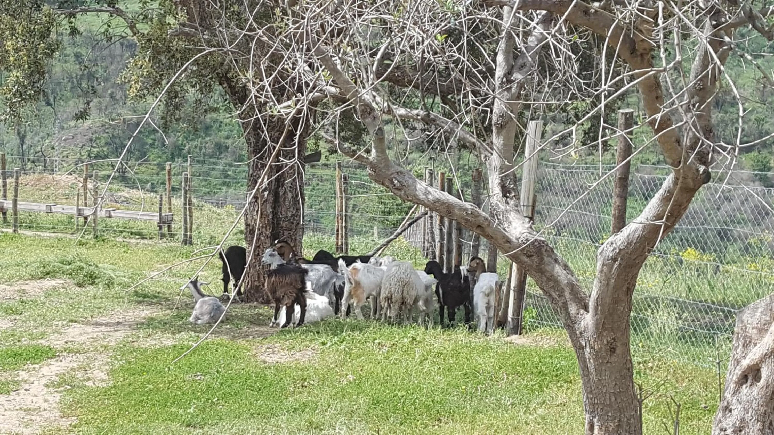 Natural landscape in Mama Lina