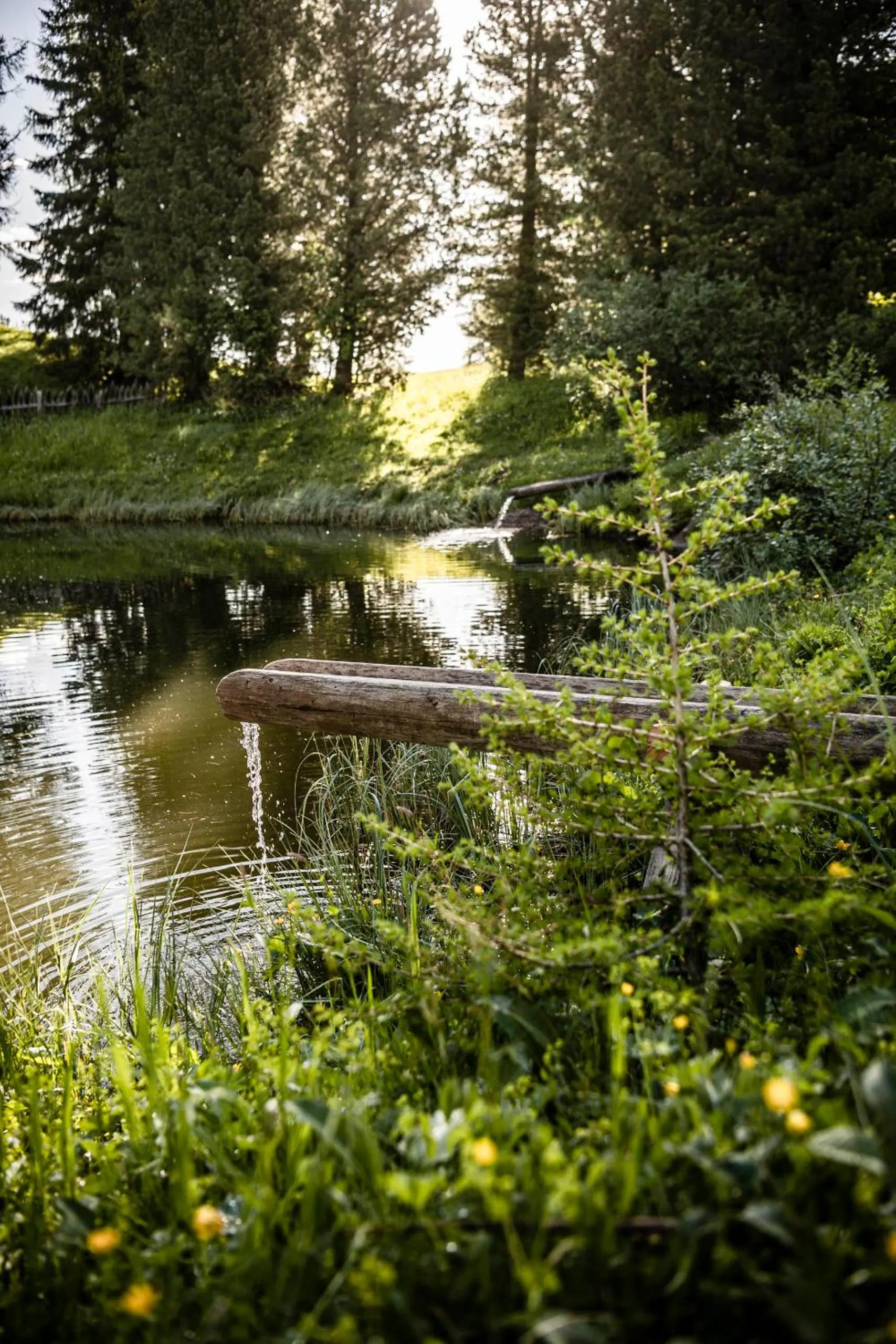Staff in Hotel Steger-Dellai