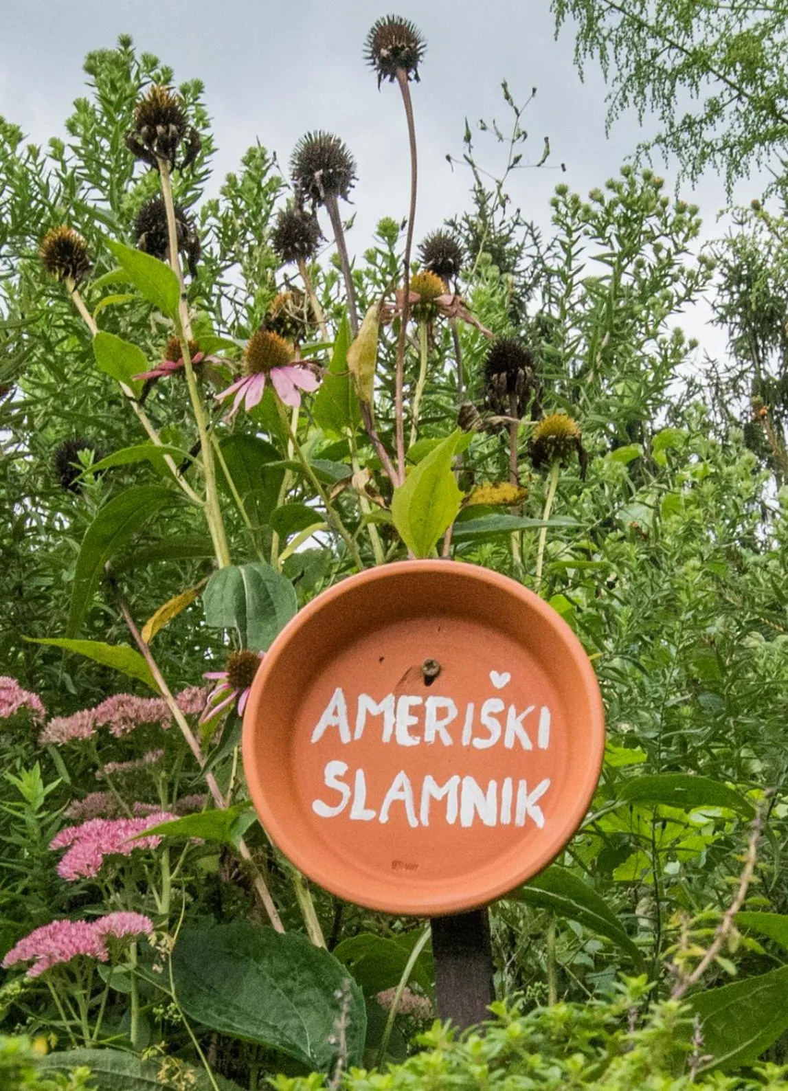 Garden in Farm Stay Žagar