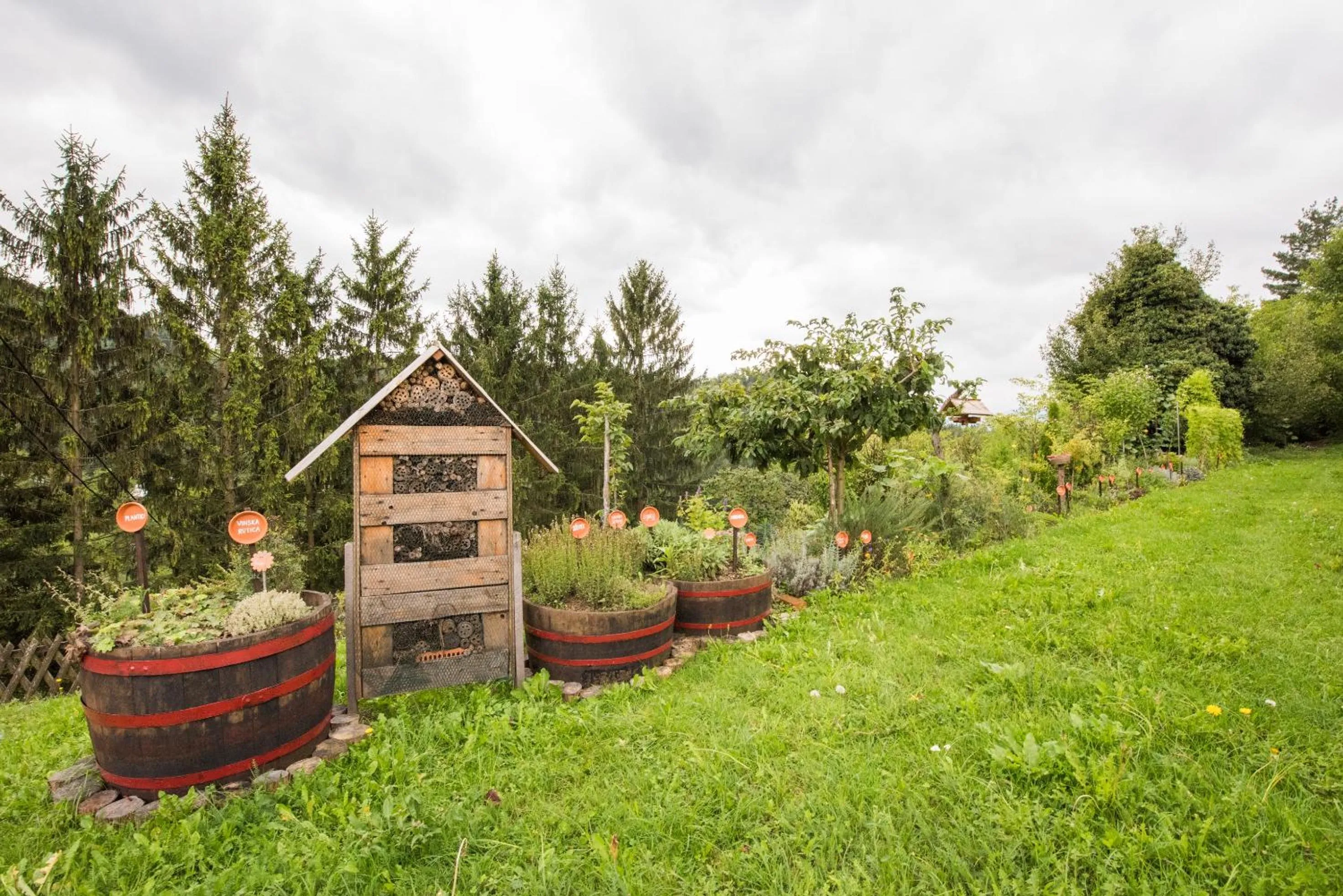 Garden in Farm Stay Žagar