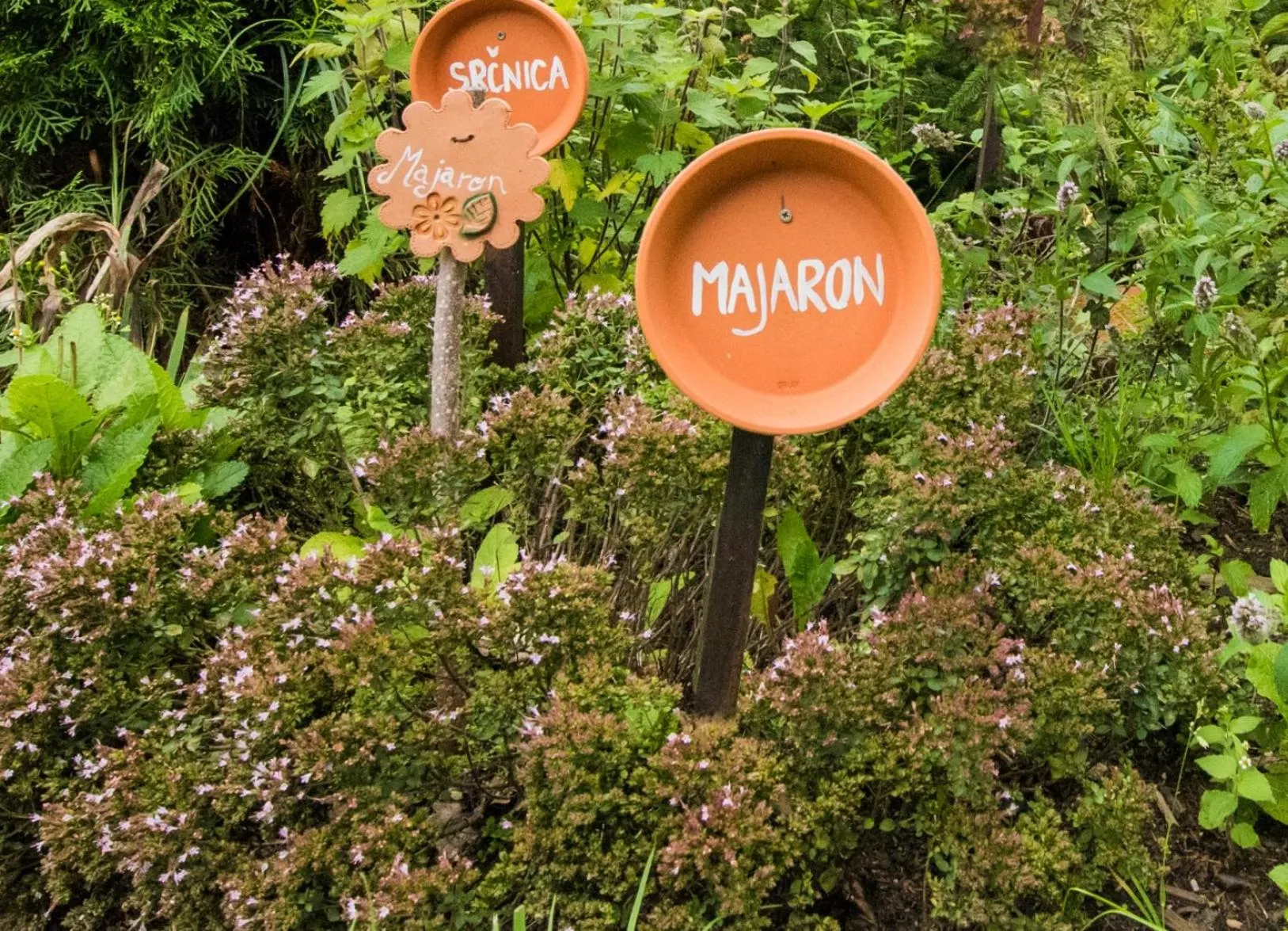 Garden in Farm Stay Žagar
