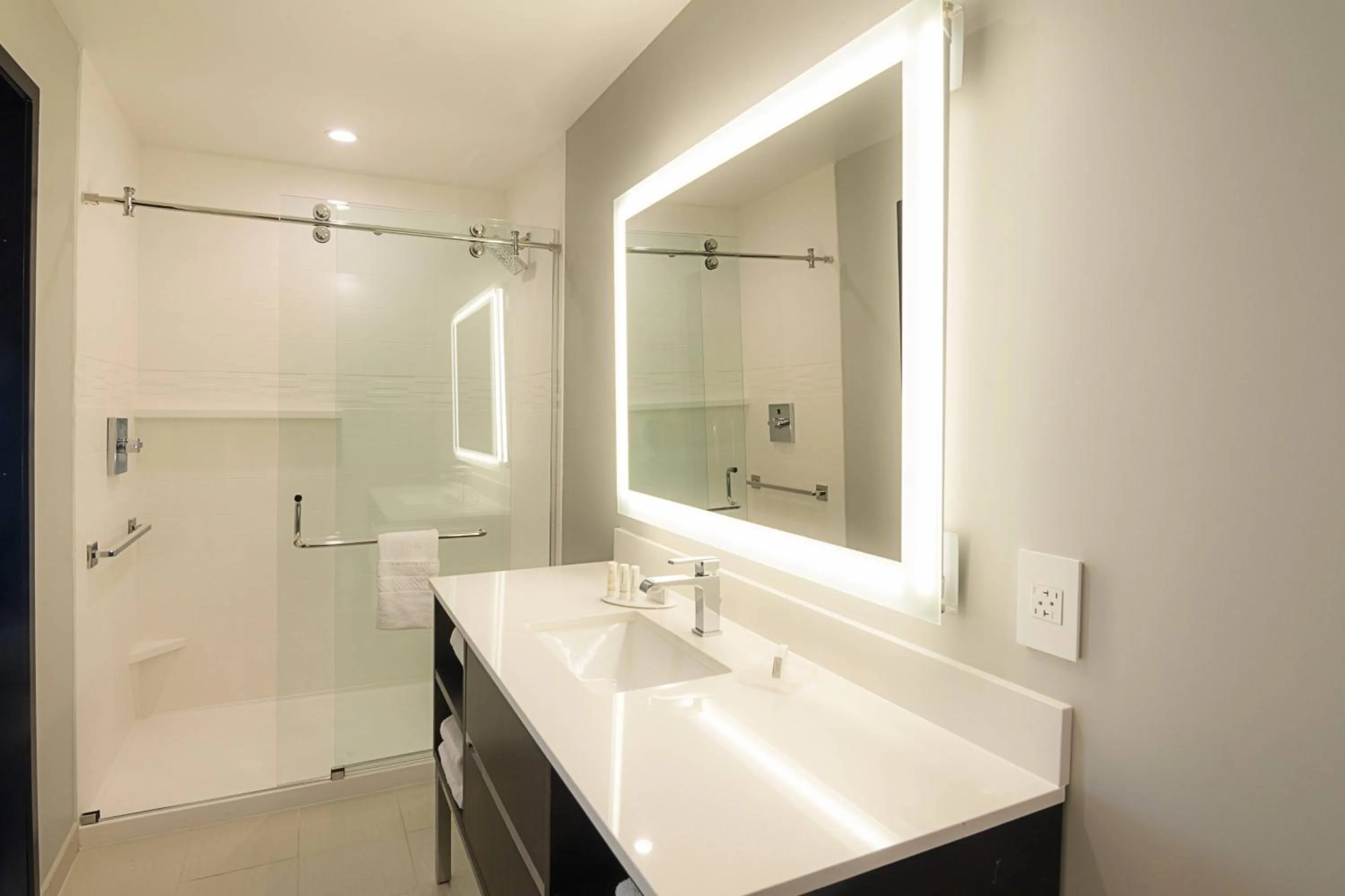 Bathroom in SpringHill Suites by Marriott Fort Worth Fossil Creek