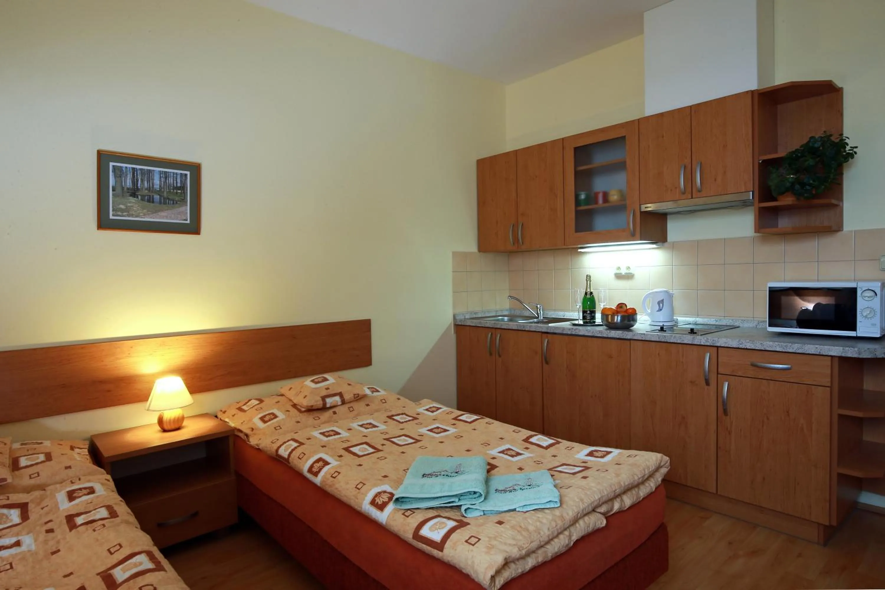 Photo of the whole room, Bed in Wellness Penzion Pod Rozhlednou