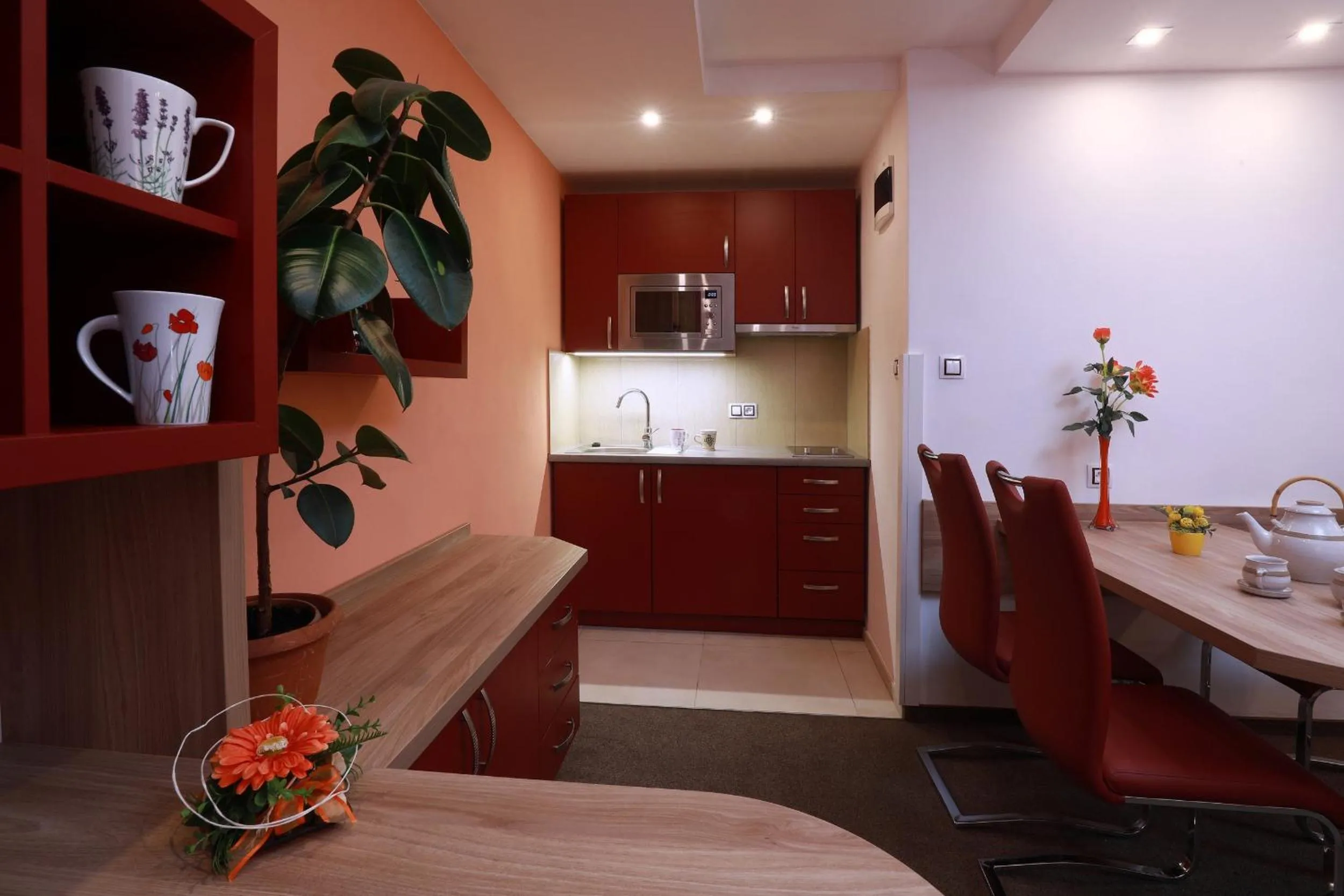 Kitchen or kitchenette in Wellness Penzion Pod Rozhlednou