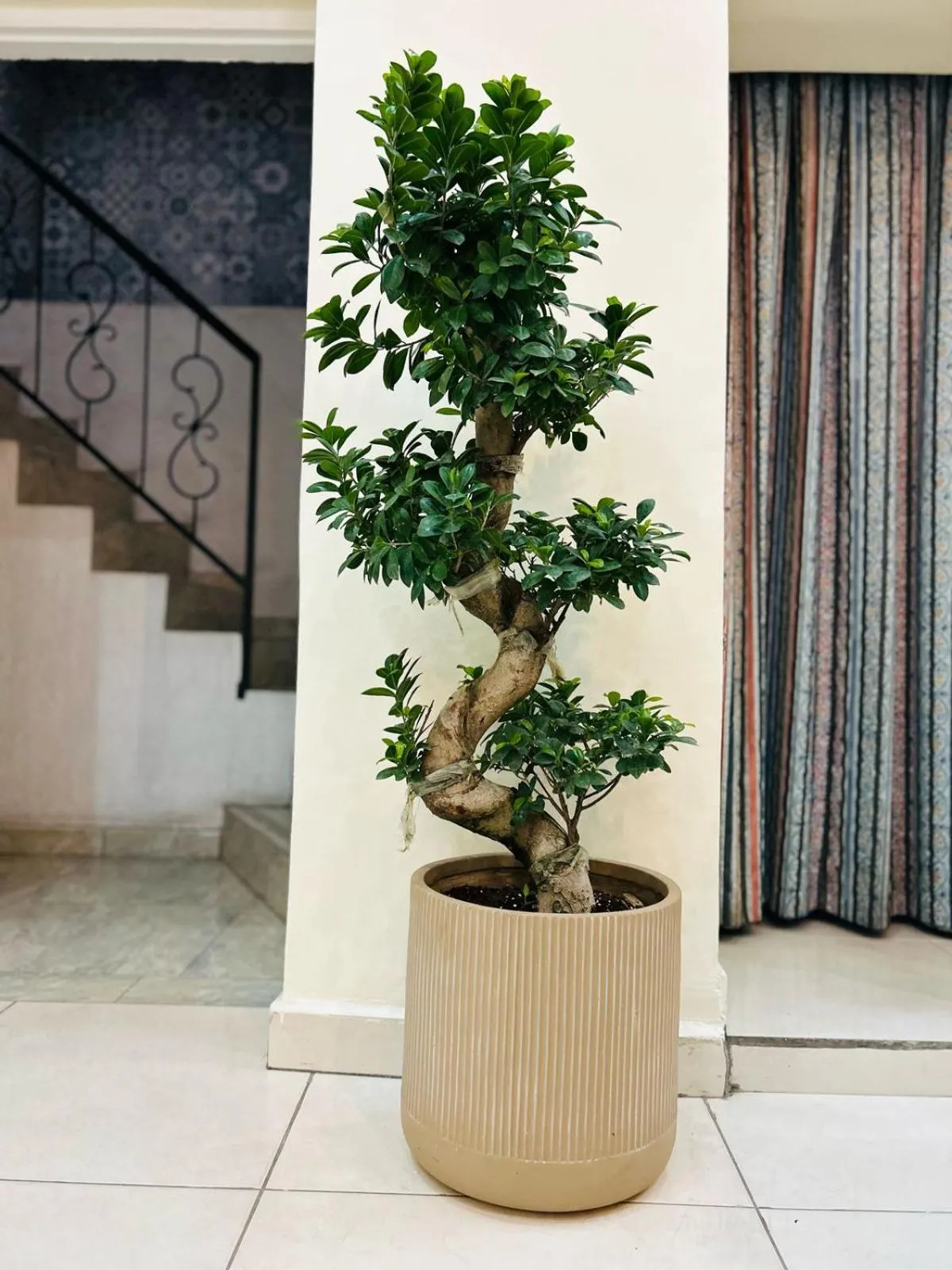 Zaman Ya Zaman Boutique Hotel