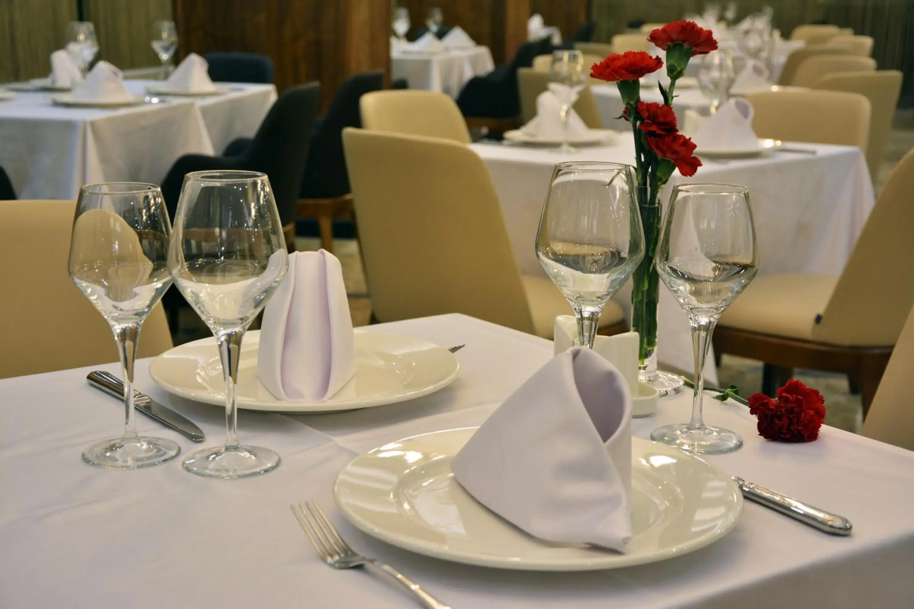 Restaurant/places to eat in Görükle Güler Park Hotel Restaurant/places to eat in Görükle Güler Park Hotel