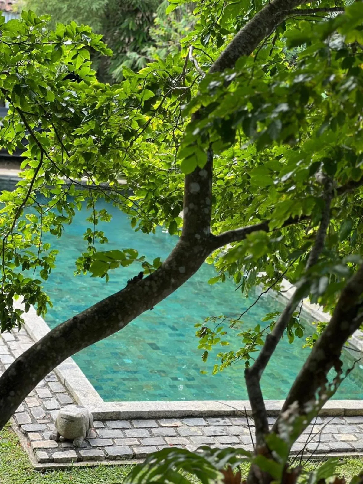 Swimming pool in Aga Surf View