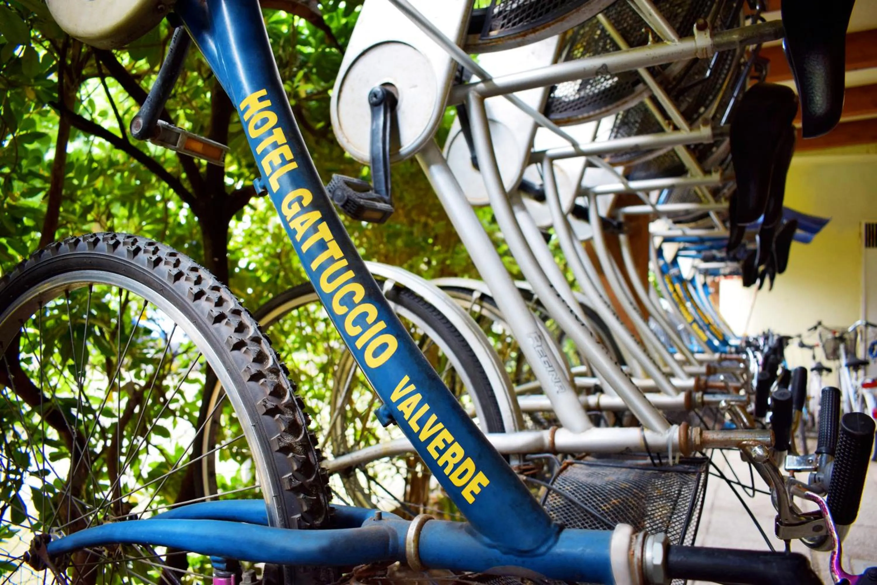 Activities in Hotel Gattuccio