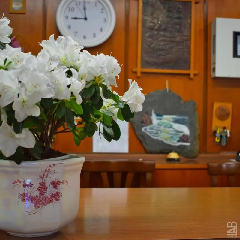 Lobby or reception in Hotel Gattuccio