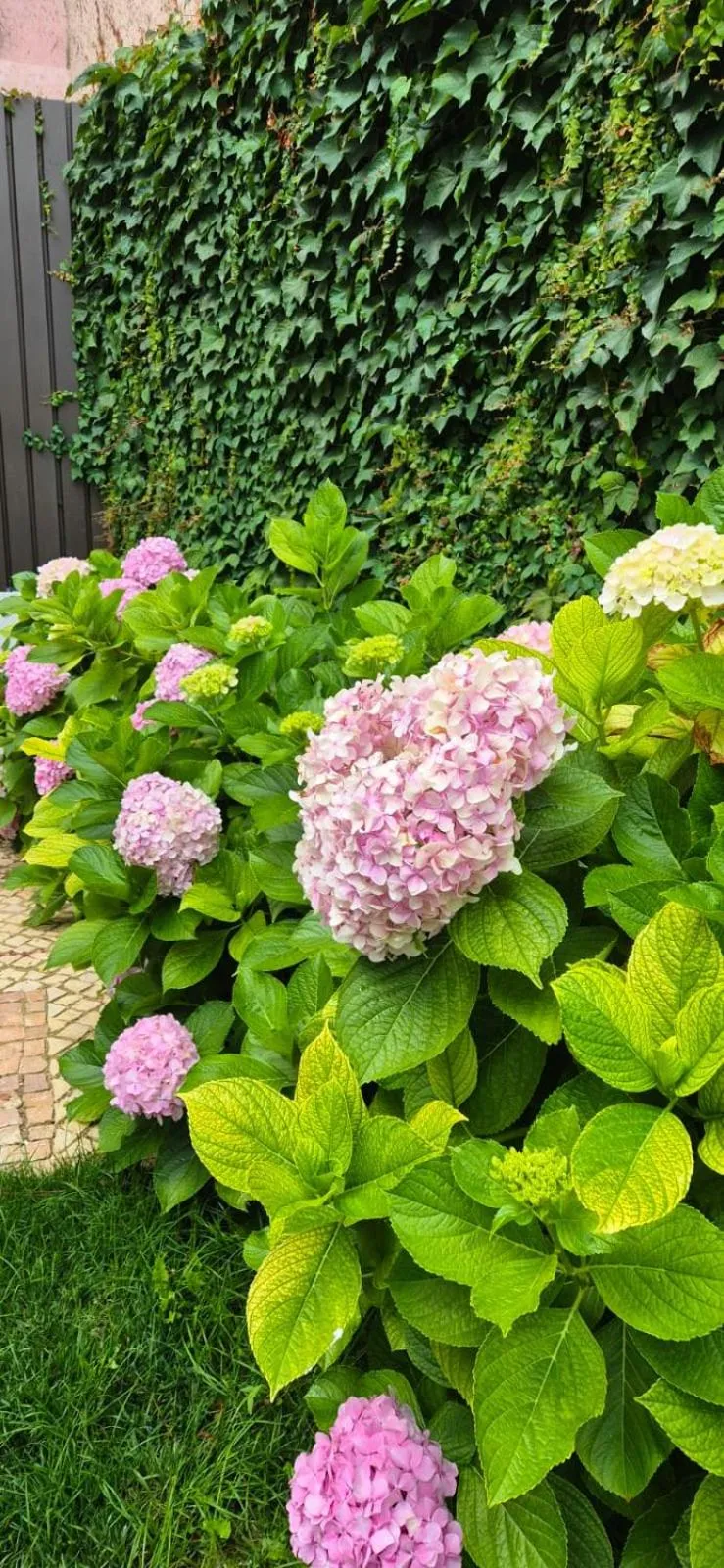 Property building in Alma Moura Residences