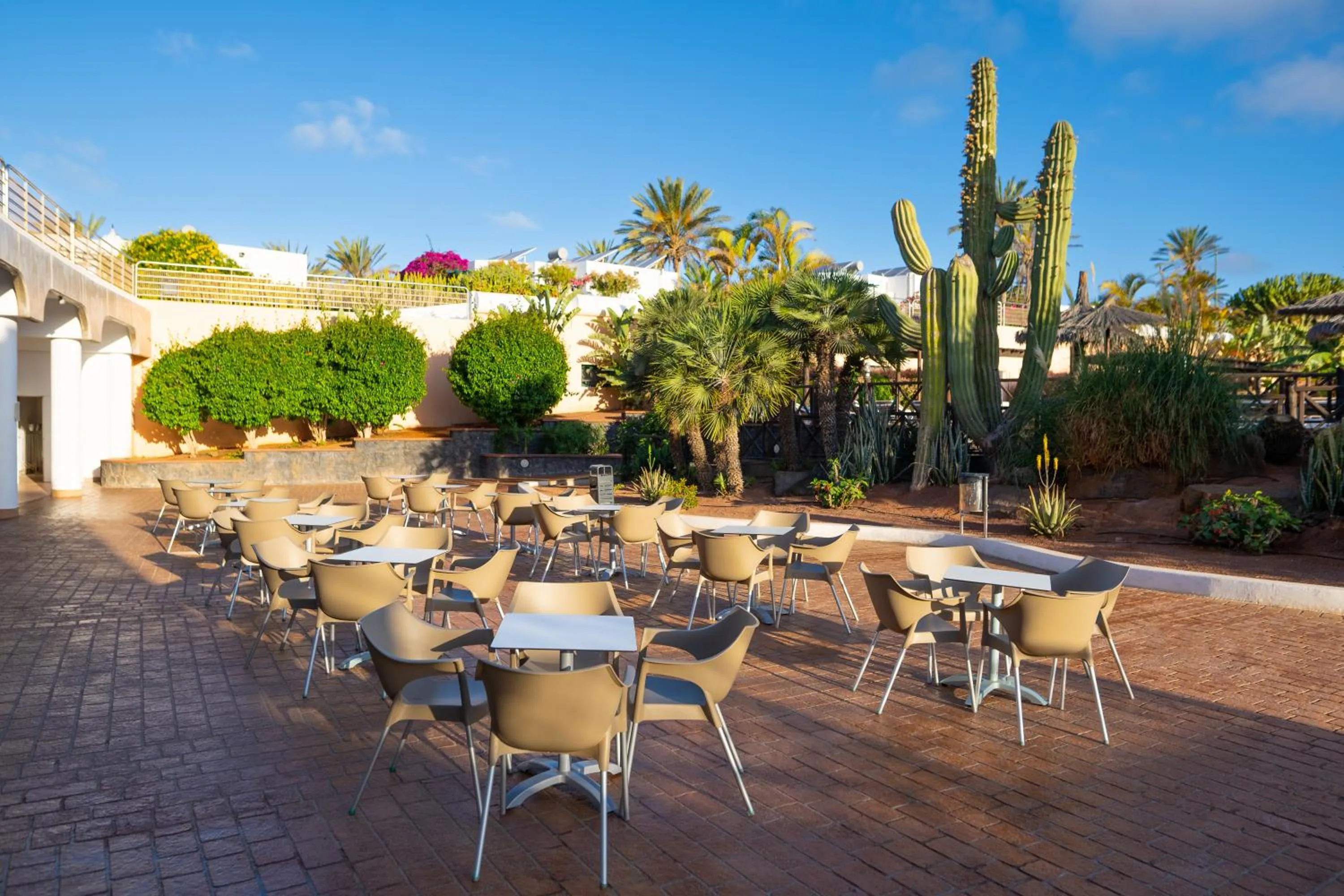 Garden view in HL Club Playa Blanca