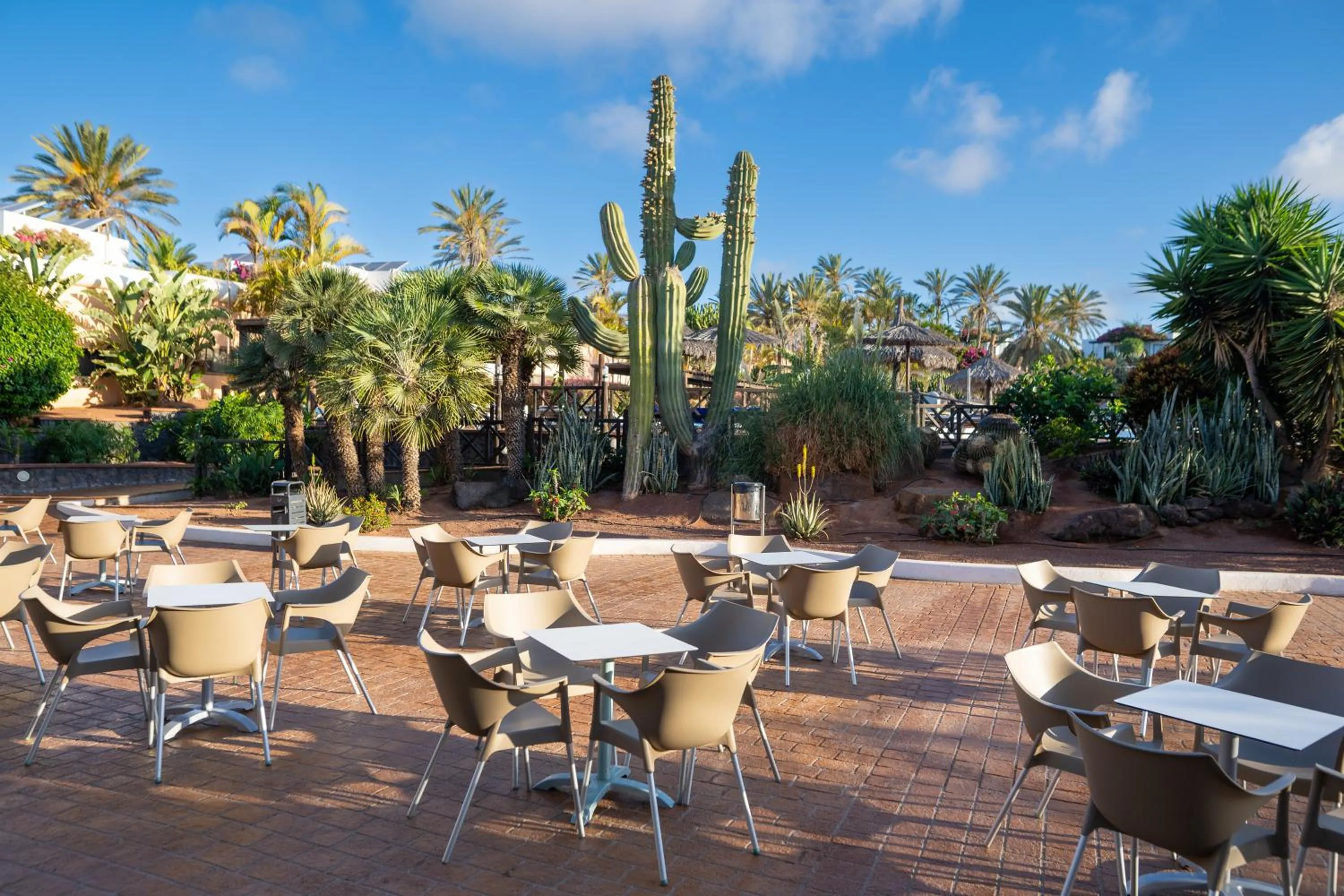 Garden view in HL Club Playa Blanca