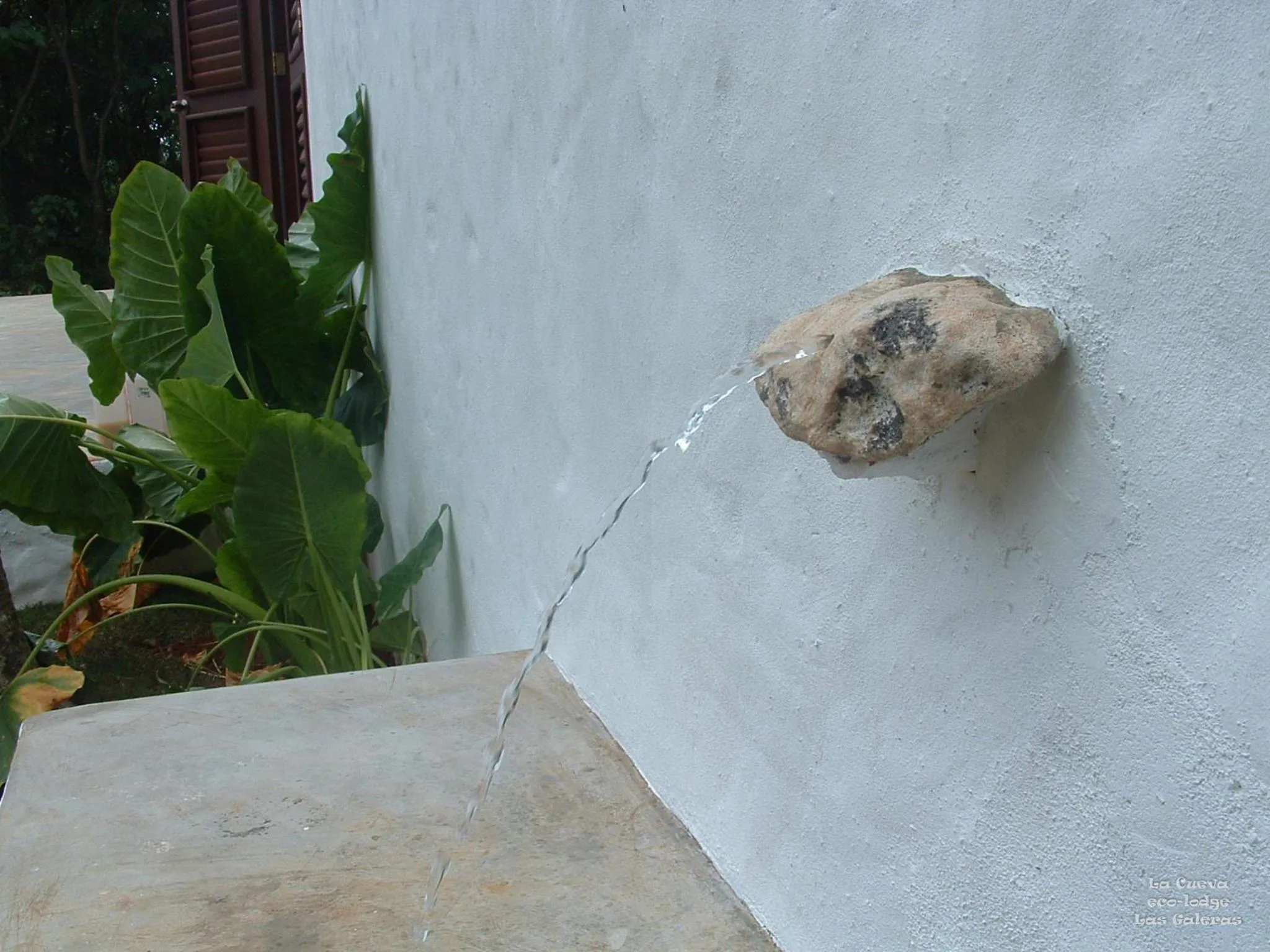 Garden in La Cueva Eco-Lodge