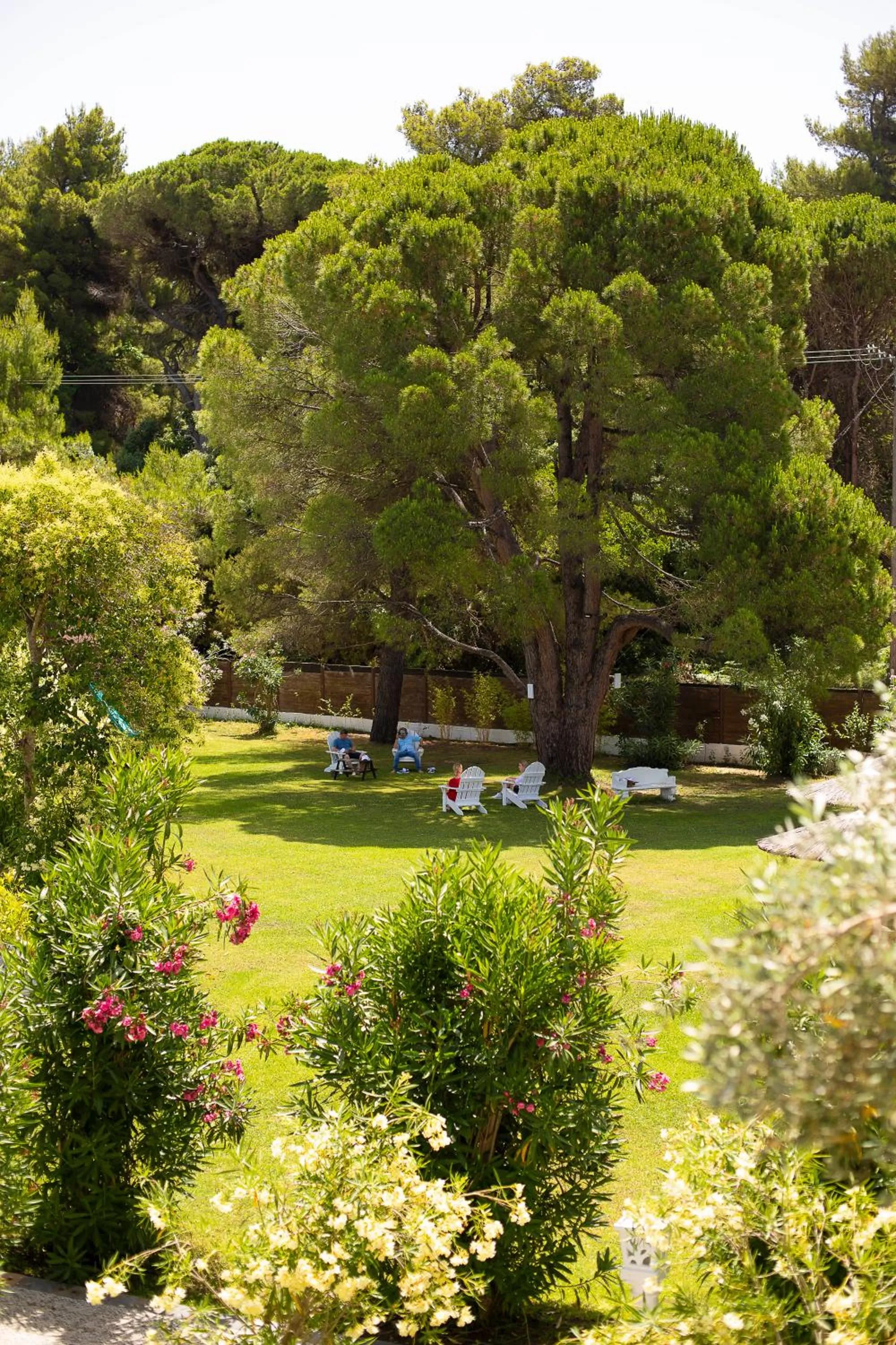 Garden in Mandraki Village Boutique Hotel