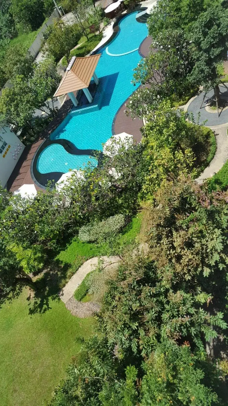 Swimming pool in Harmony Resort Hotel Swimming pool in Harmony Resort Hotel