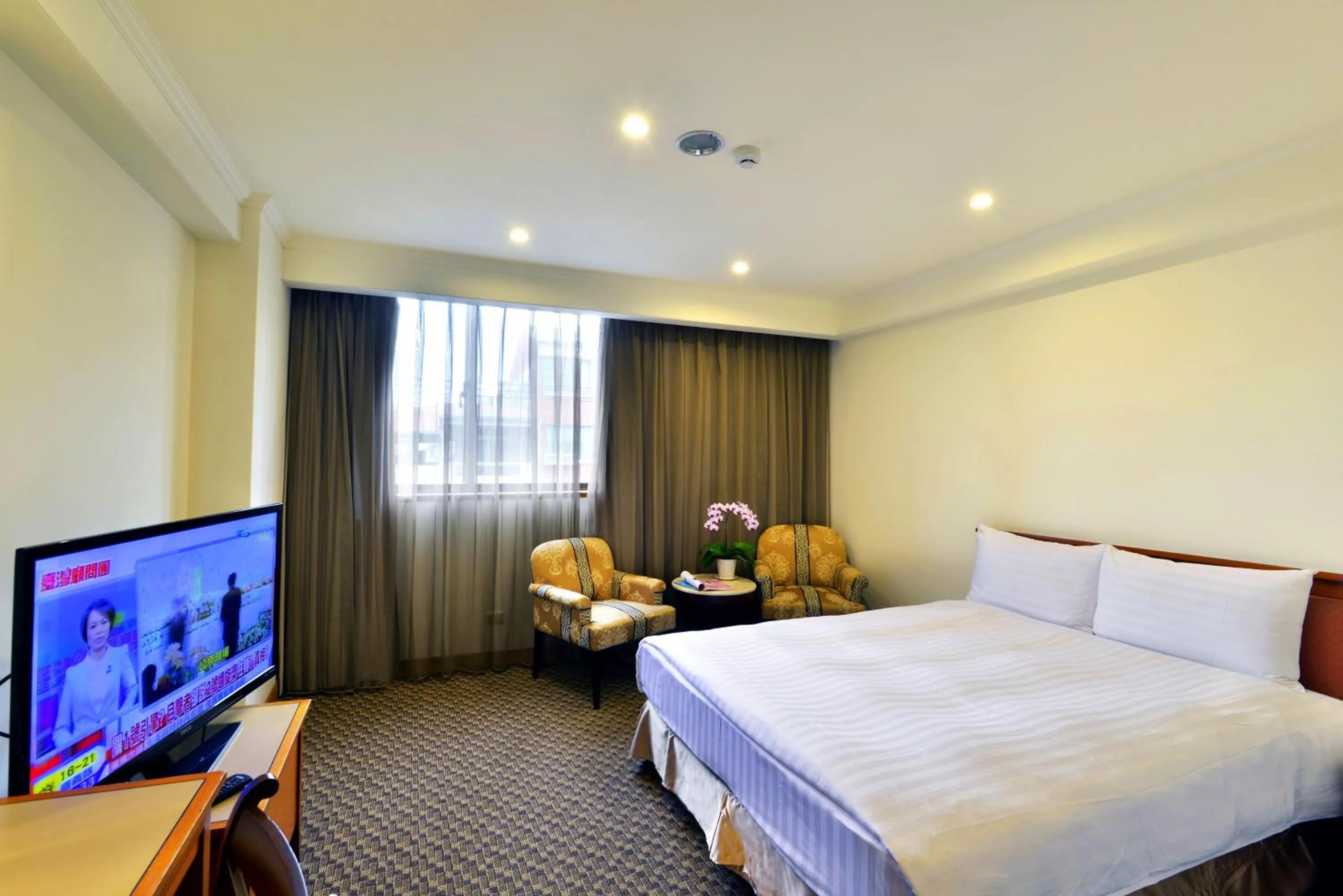 bunk bed, Bed in Apollo Hotel