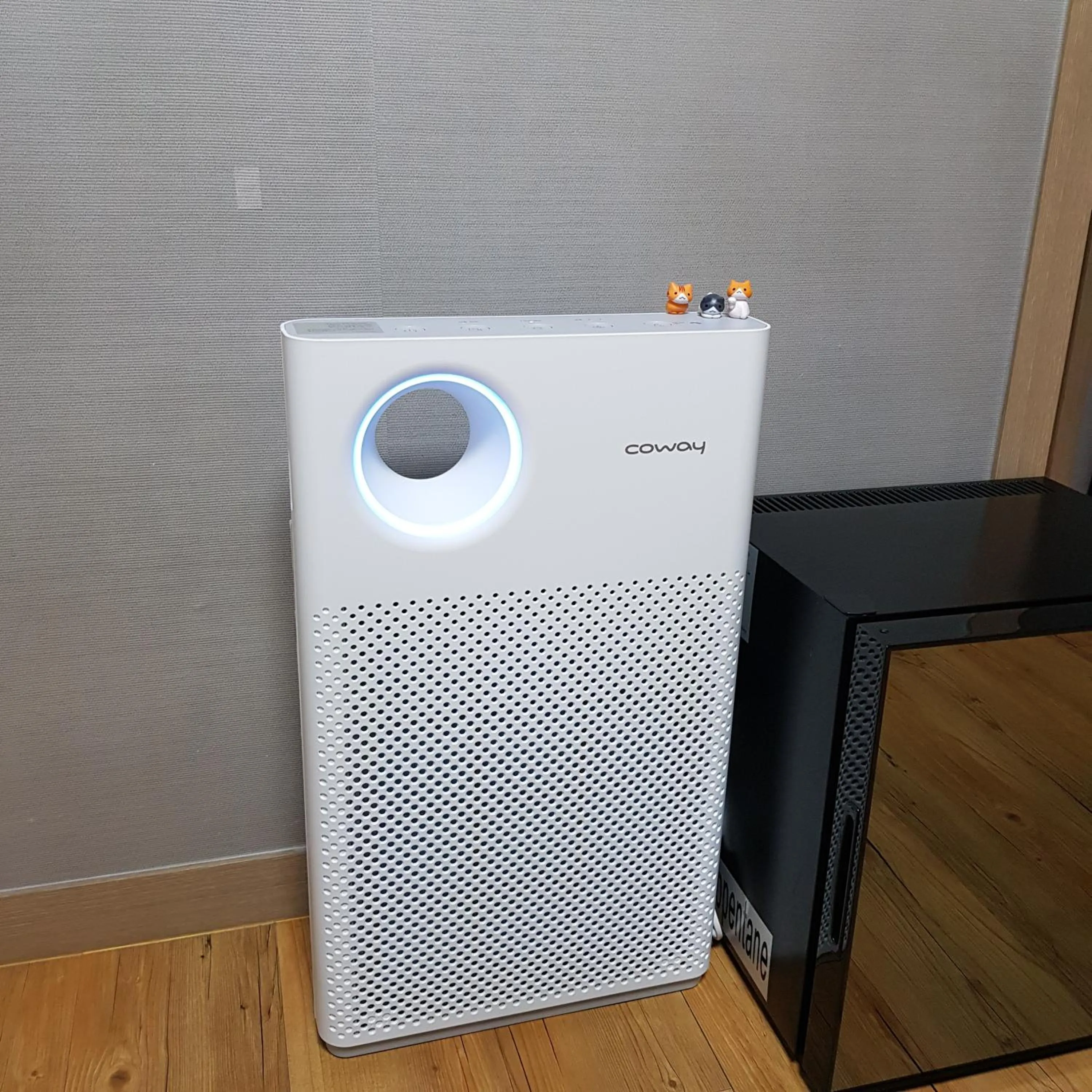 Photo of the whole room in Backpackers In Yeosu