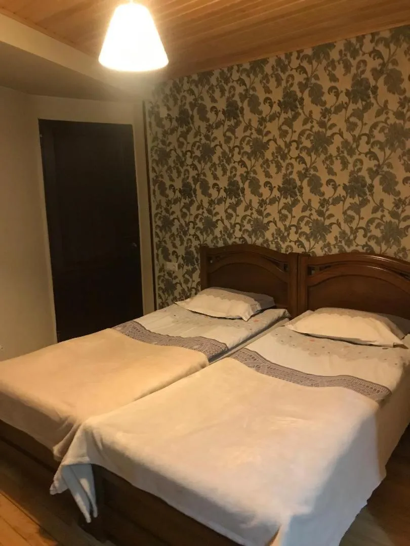 Standard Twin Room - single occupancy in Guesthouse David Zhorzholiani