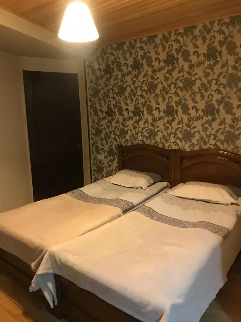 Standard Twin Room - single occupancy in Guesthouse David Zhorzholiani Standard Twin Room - single occupancy in Guesthouse David Zhorzholiani