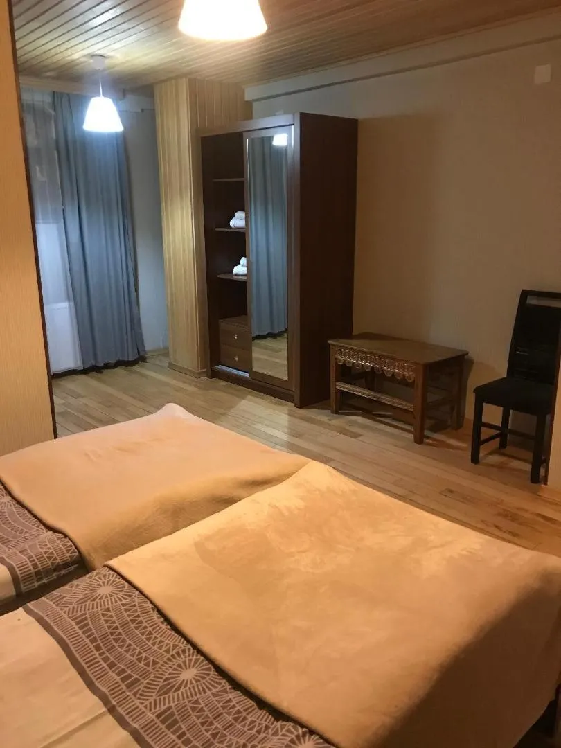Standard Twin Room - single occupancy in Guesthouse David Zhorzholiani