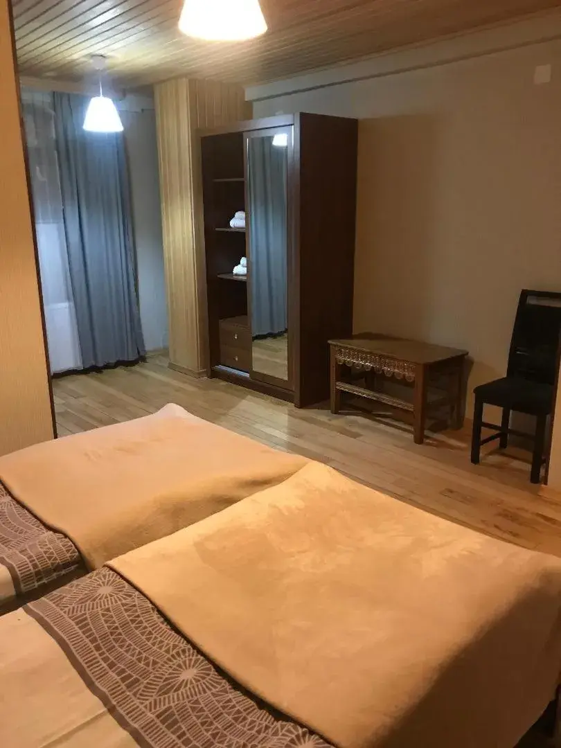 Standard Twin Room - single occupancy in Guesthouse David Zhorzholiani Standard Twin Room - single occupancy in Guesthouse David Zhorzholiani