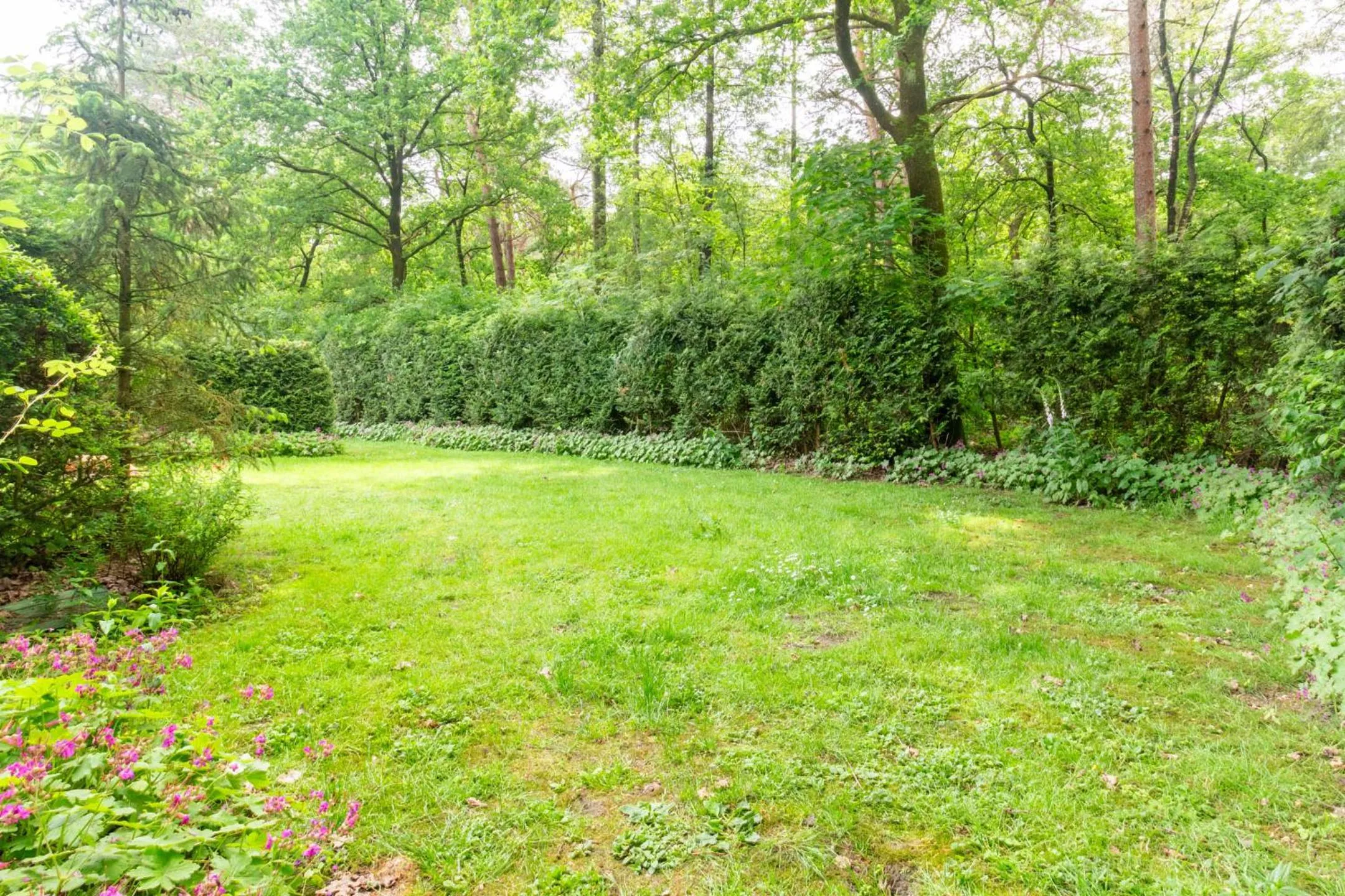 Garden in Holiday Home Eekhoornbosch