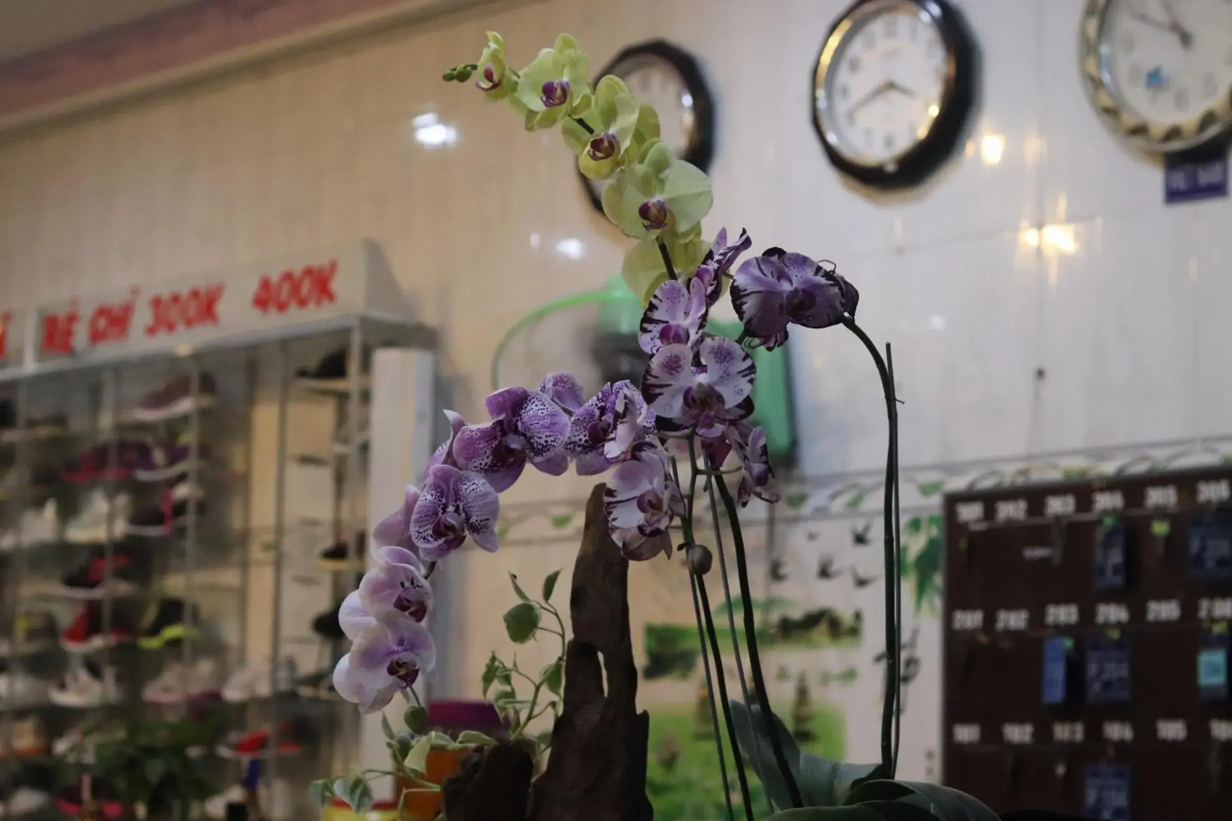 Rang Dong Hotel Rang Dong Hotel