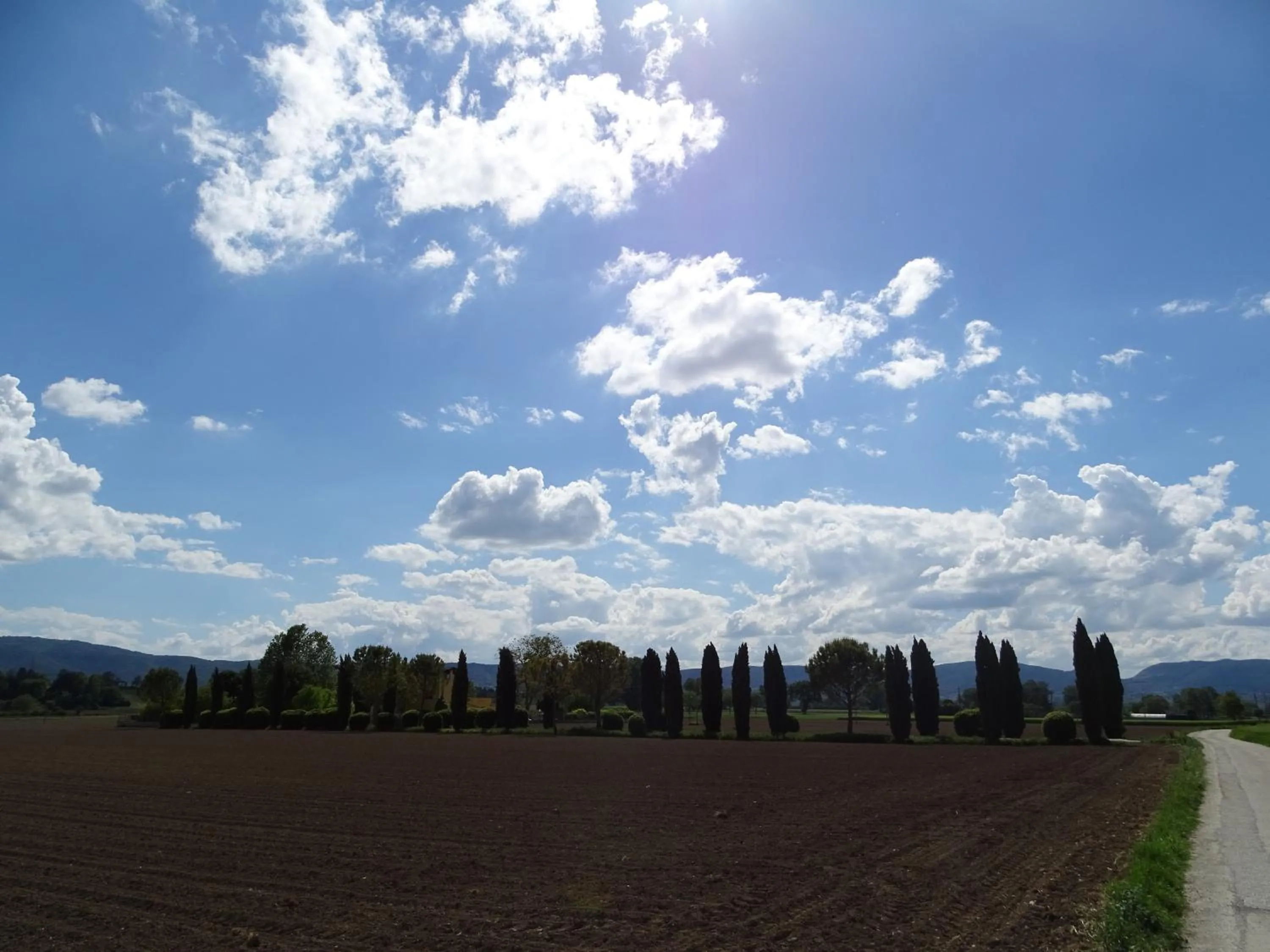 La Vecchia Stalla B&B