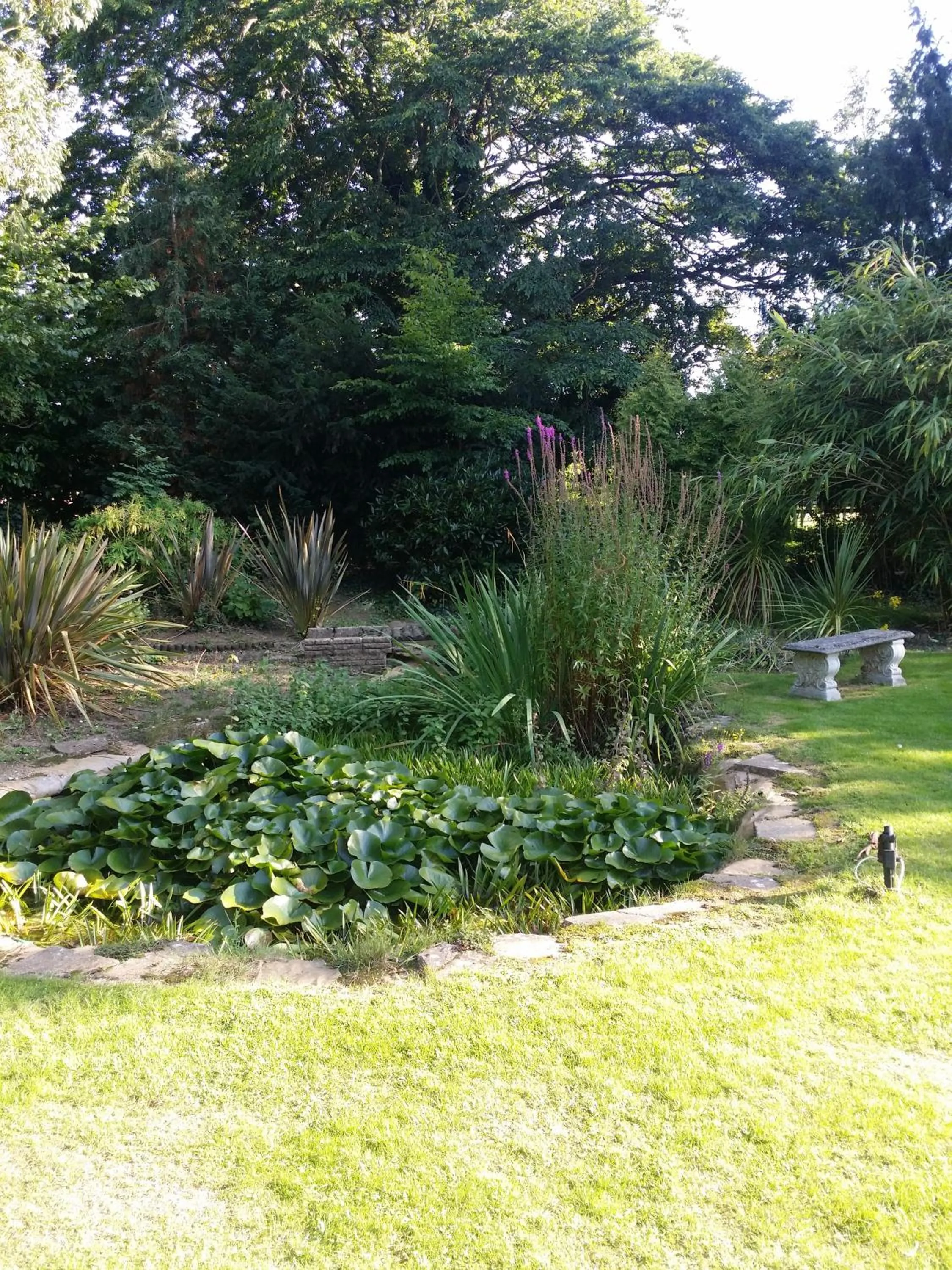 Garden in Sheephouse Manor