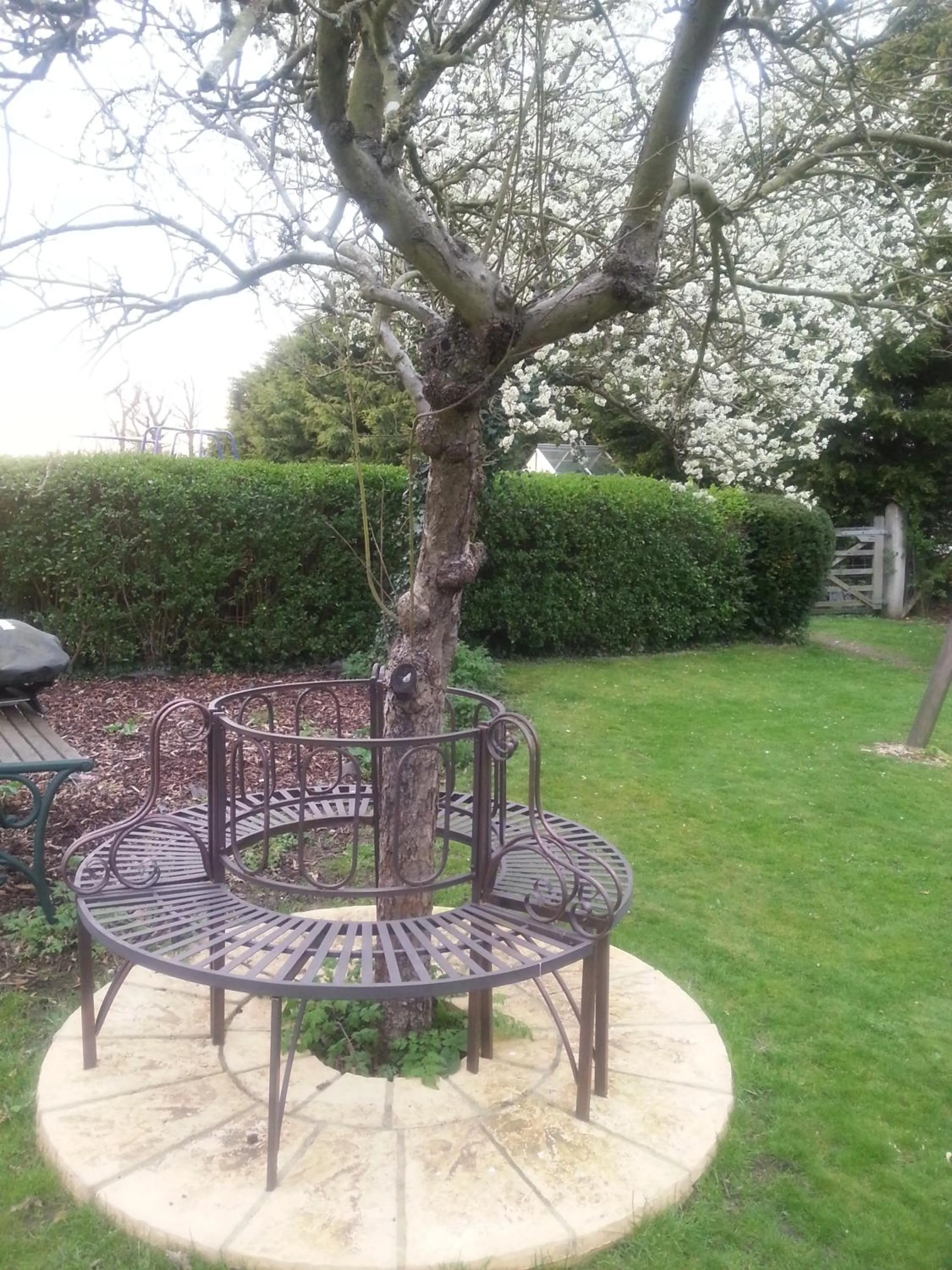Garden in Sheephouse Manor