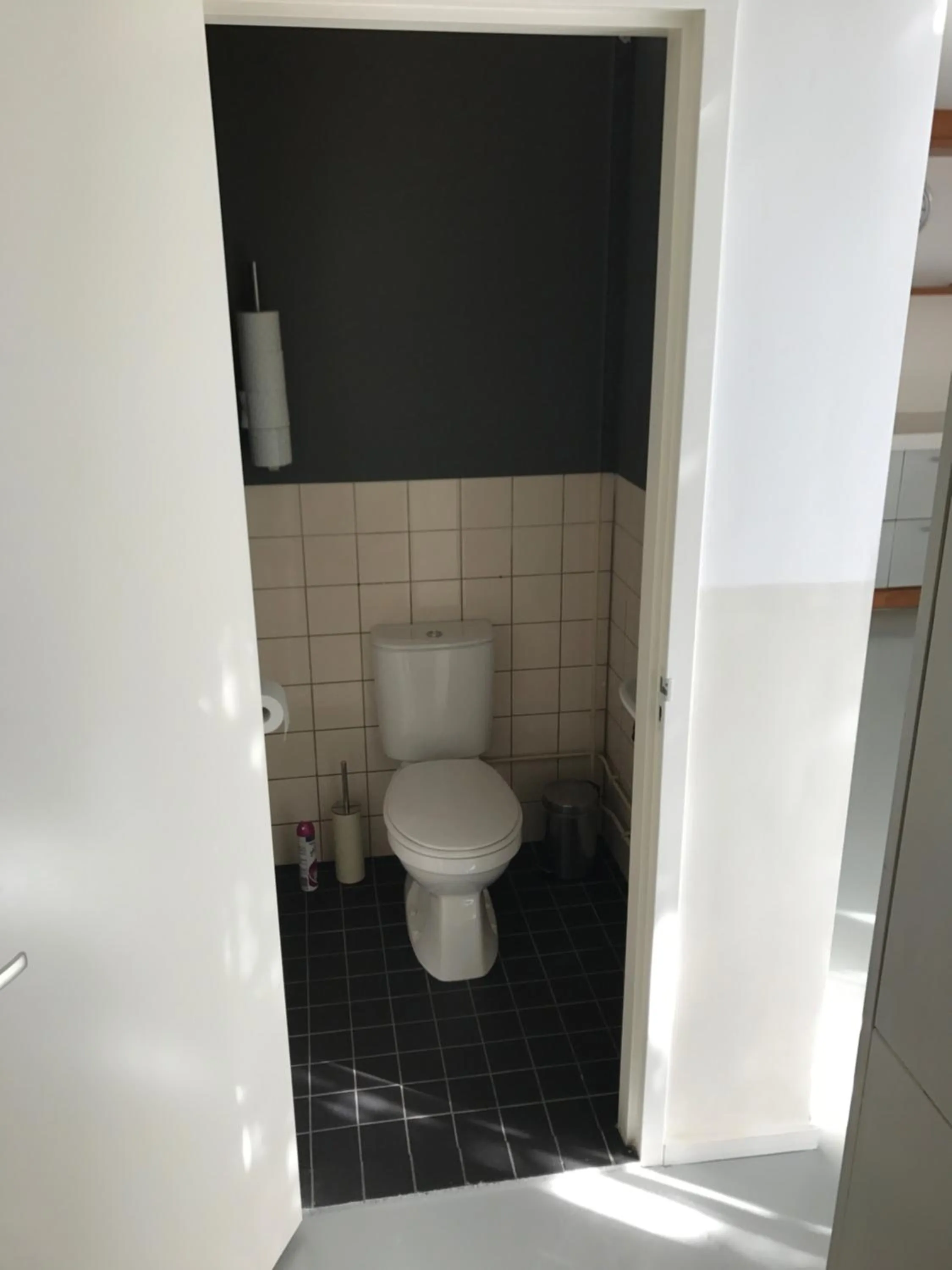 Toilet in Bed of Roses