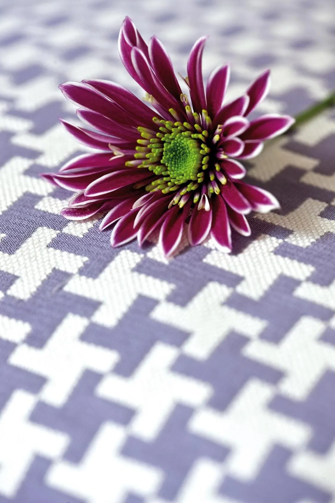 Decorative detail in Hotel Byron