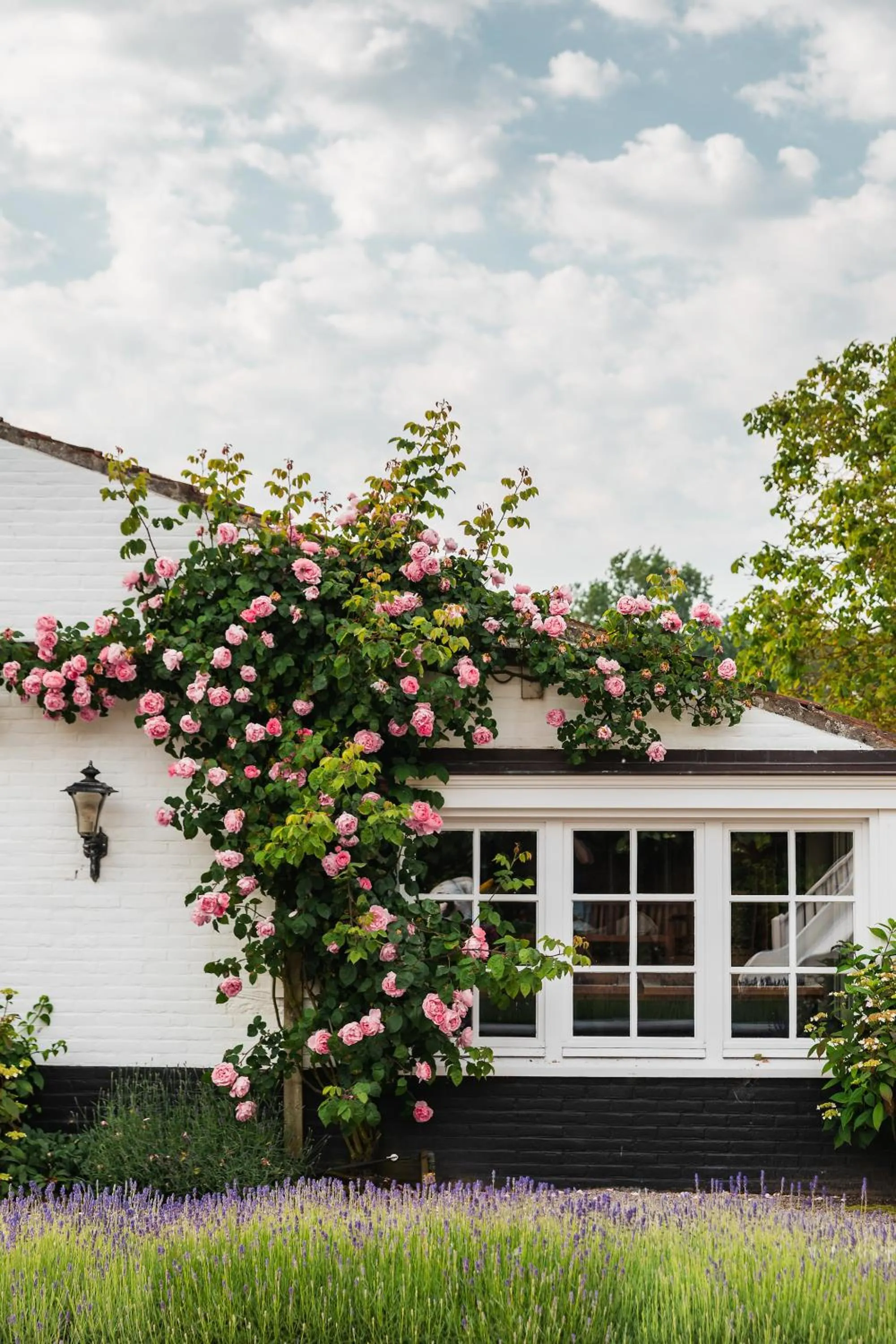 Spring in De Lindenhoeve Boutique Hotel