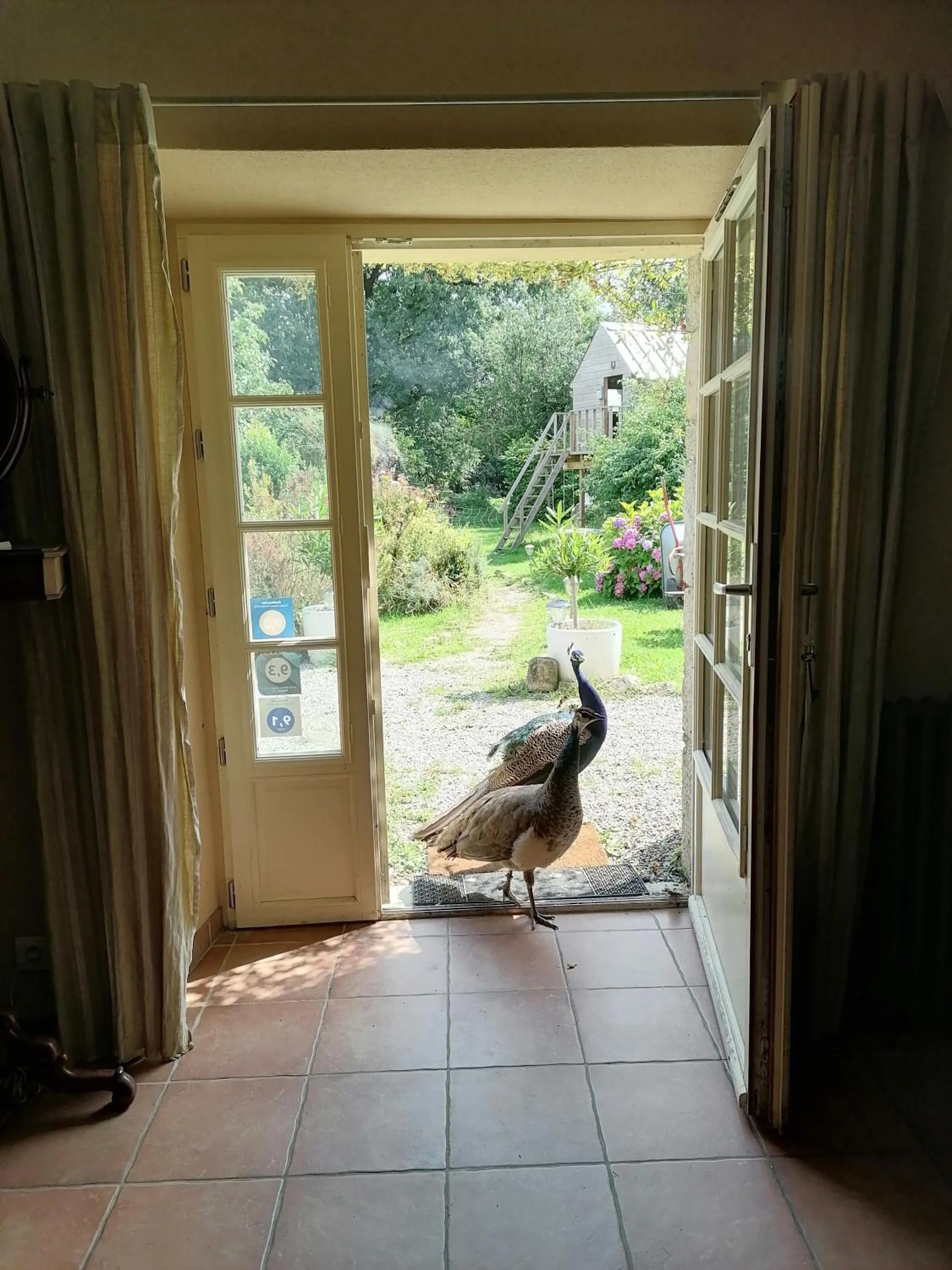 Decorative detail in Frairie Du Divit