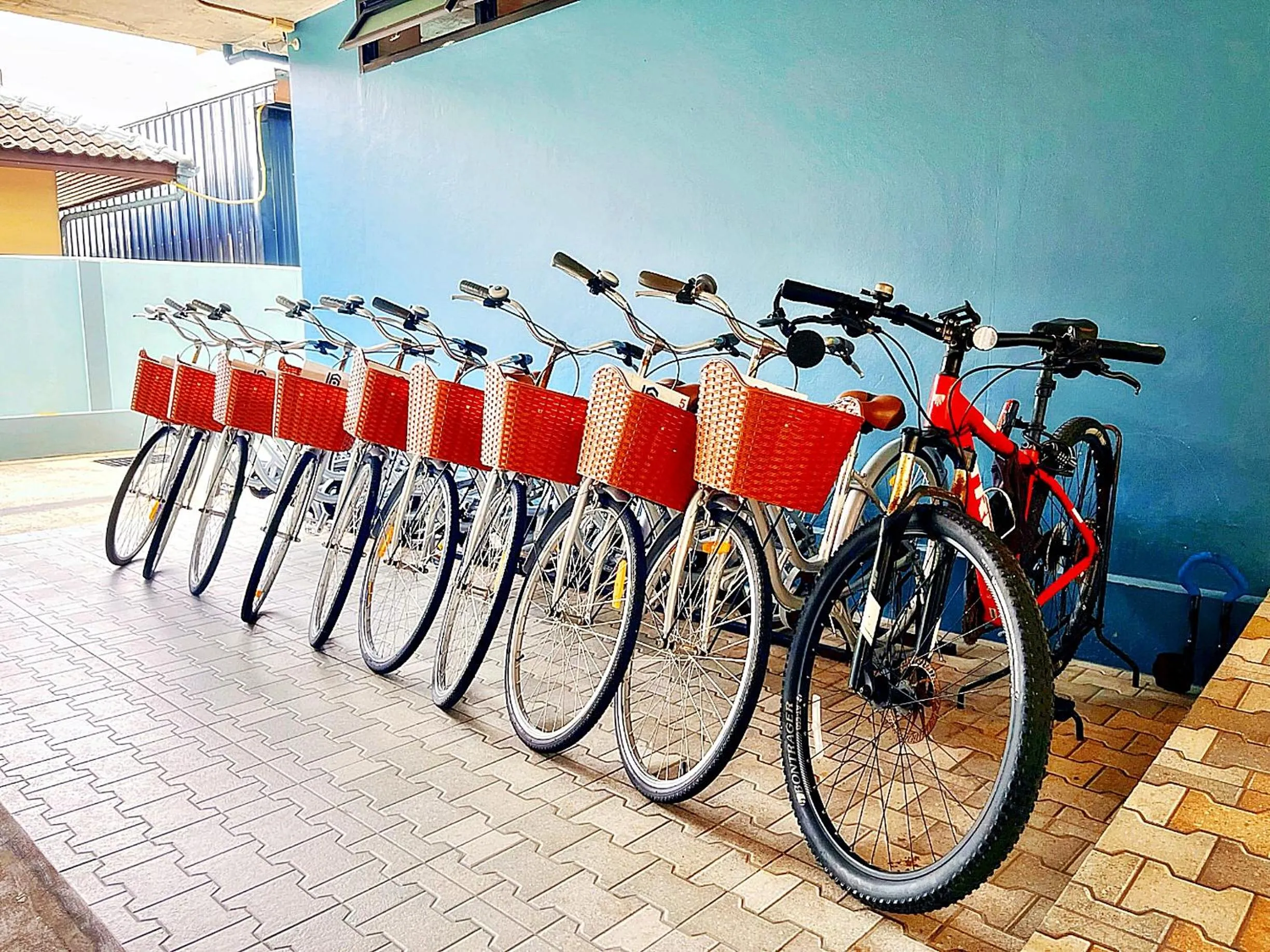 Cycling in The Sixteenth Naiyang Beach Hotel- Free Schedule Airport Shuttle
