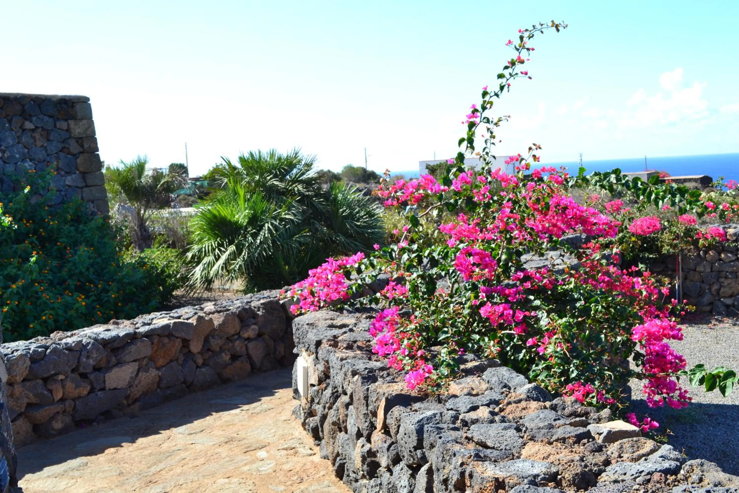 Garden in Dammusi Sotto le Stelle