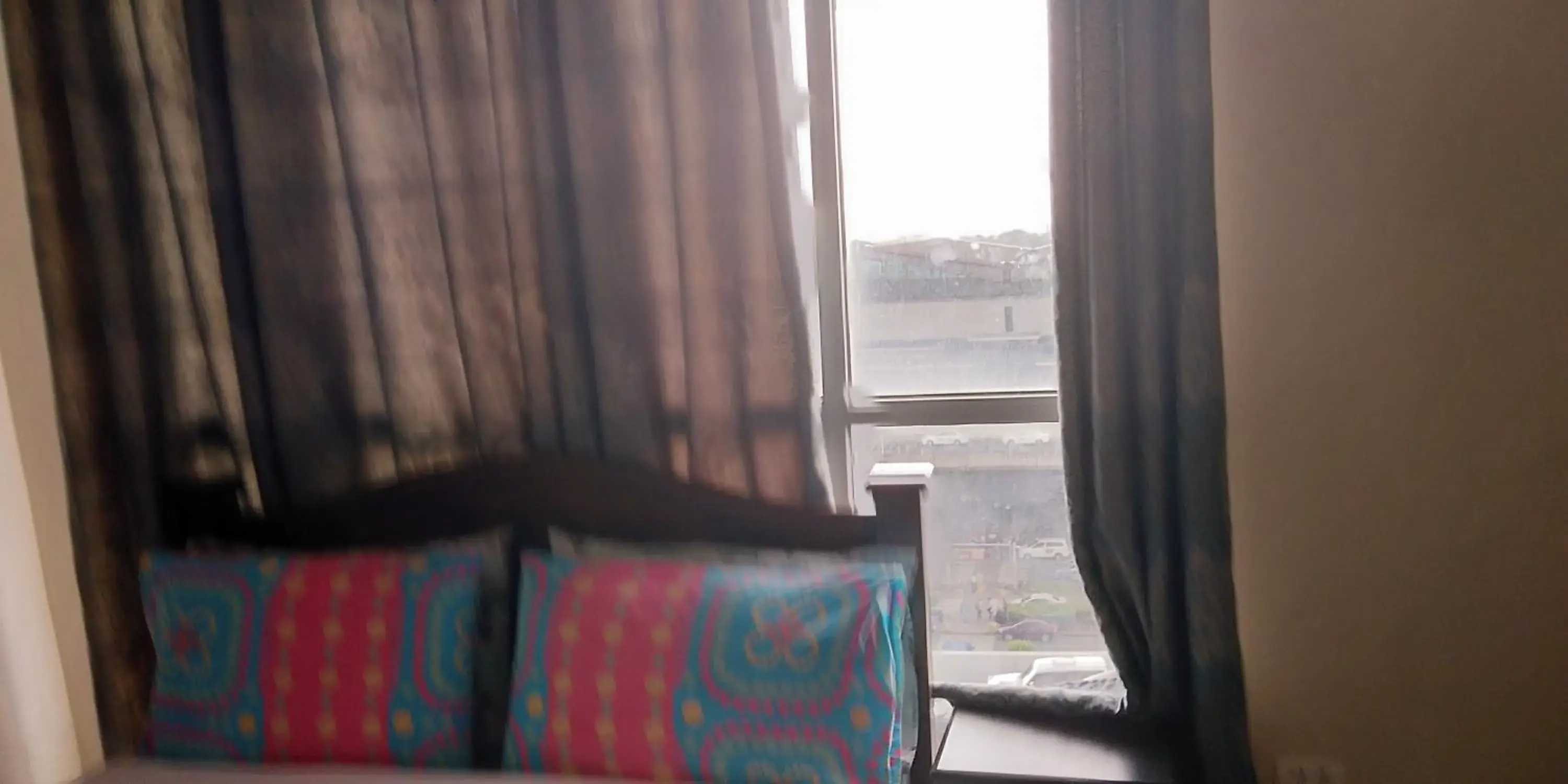 Bed in Palm Tree Genlex Condo Bed in Palm Tree Genlex Condo