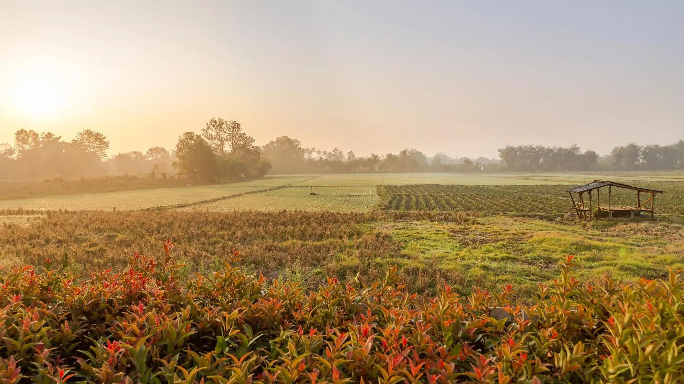 View (from property/room) in KYP Khunyuw Place Hotel โรงแรมเควายพี ขุนยูวเพลส ฝาง View (from property/room) in KYP Khunyuw Place Hotel โรงแรมเควายพี ขุนยูวเพลส ฝาง