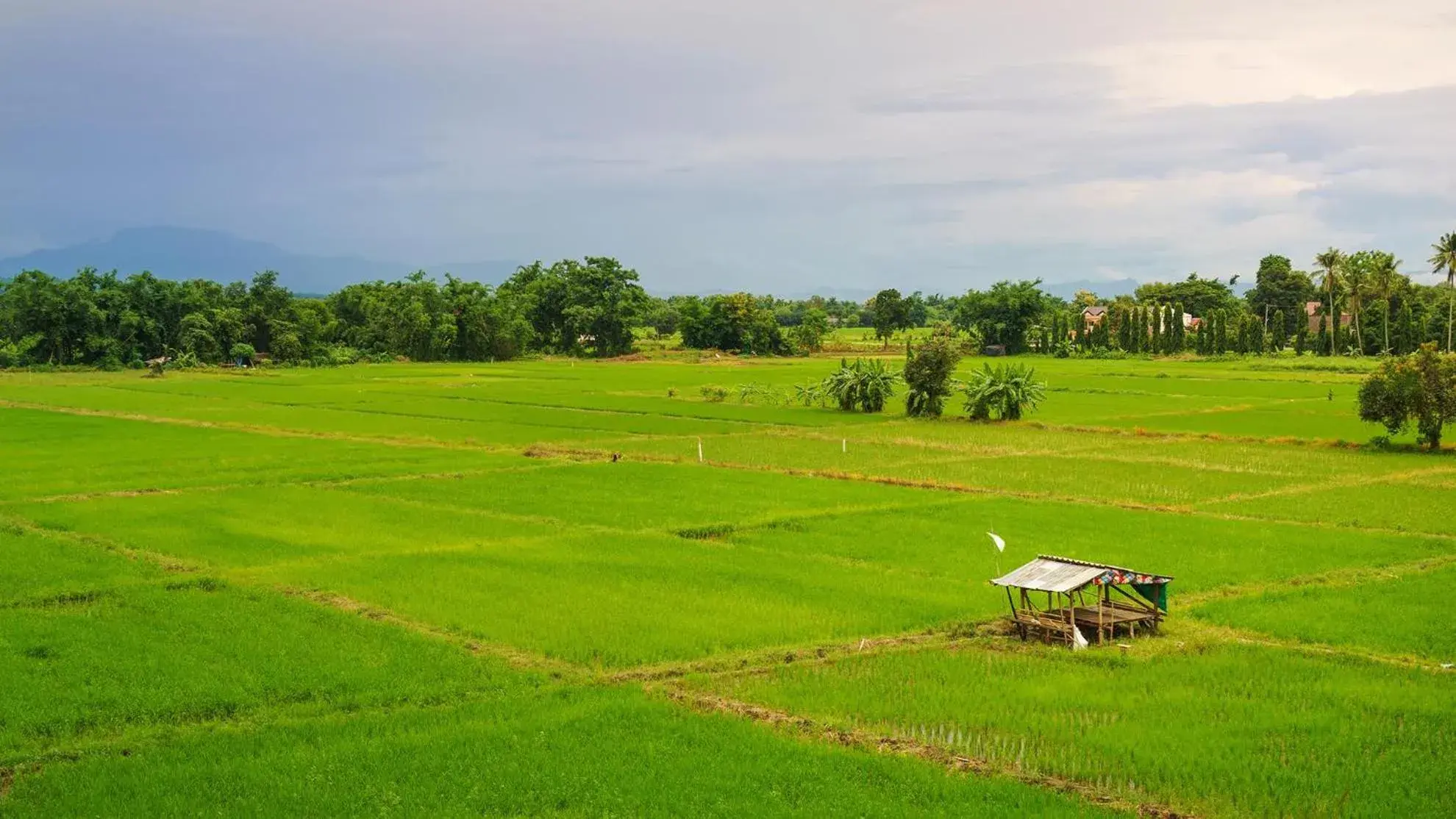 Property building in KYP Khunyuw Place Hotel โรงแรมเควายพี ขุนยูวเพลส ฝาง Property building in KYP Khunyuw Place Hotel โรงแรมเควายพี ขุนยูวเพลส ฝาง
