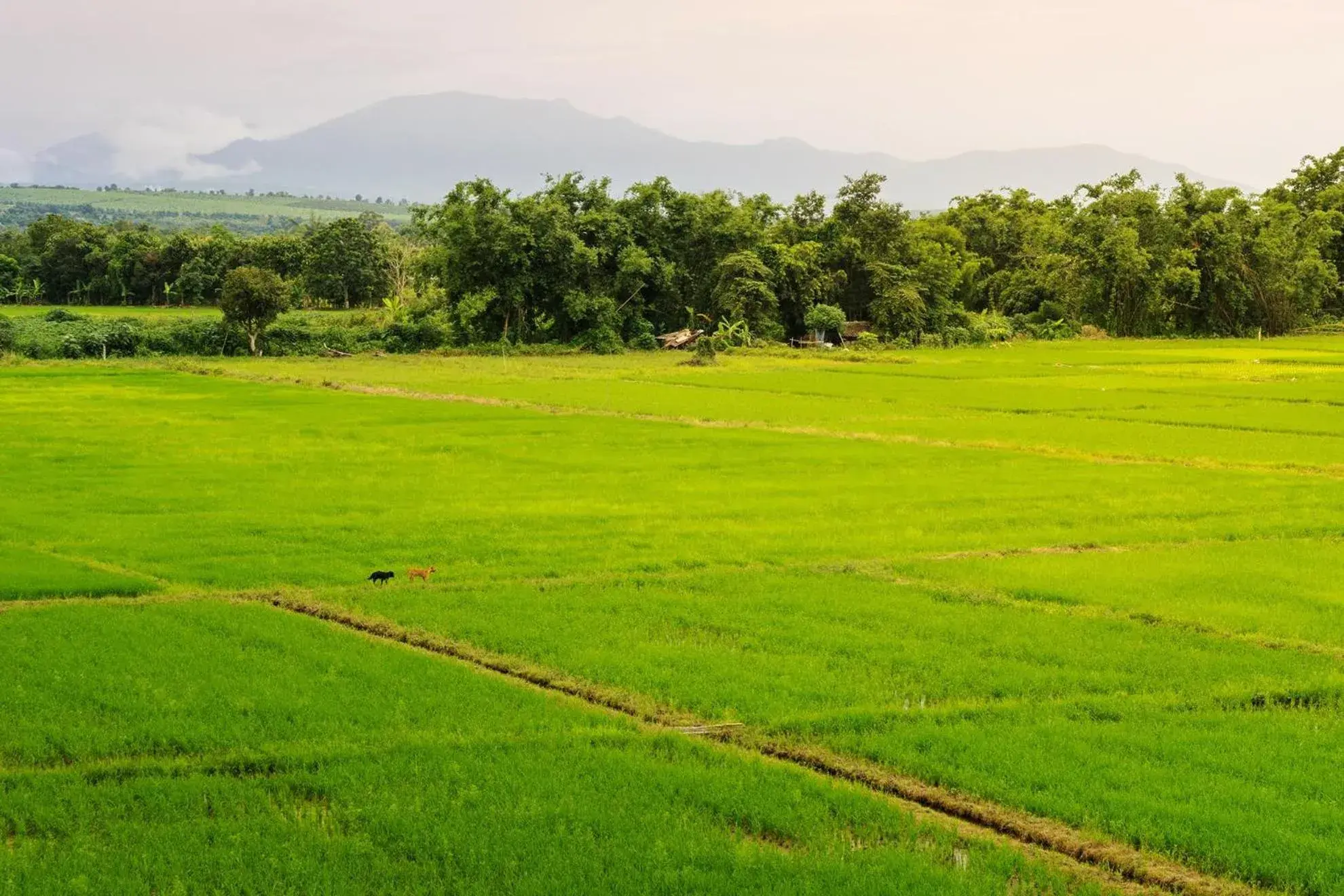 Property building in KYP Khunyuw Place Hotel โรงแรมเควายพี ขุนยูวเพลส ฝาง Property building in KYP Khunyuw Place Hotel โรงแรมเควายพี ขุนยูวเพลส ฝาง